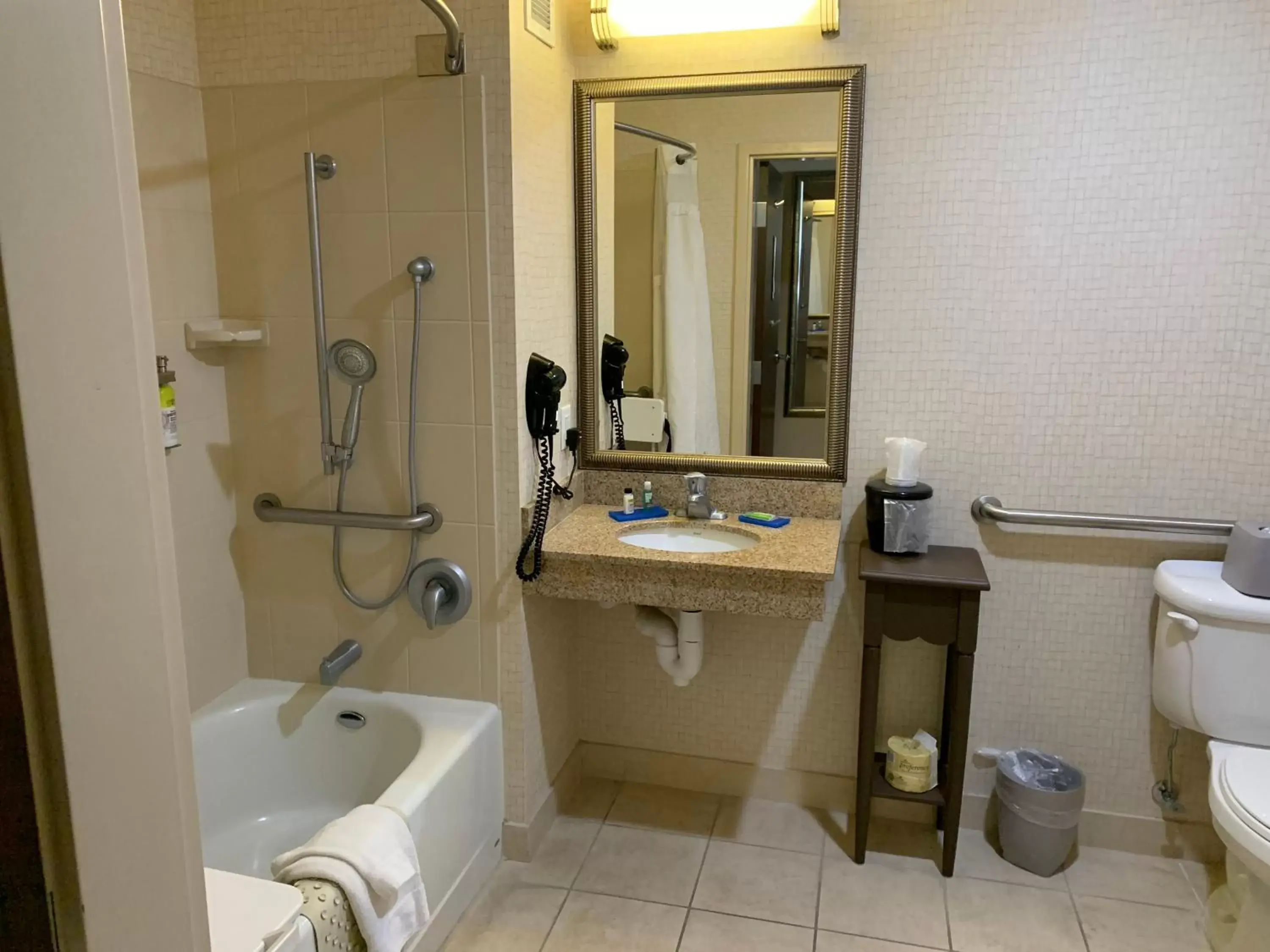 Bathroom in Holiday Inn Express Hotel Twin Falls, an IHG Hotel