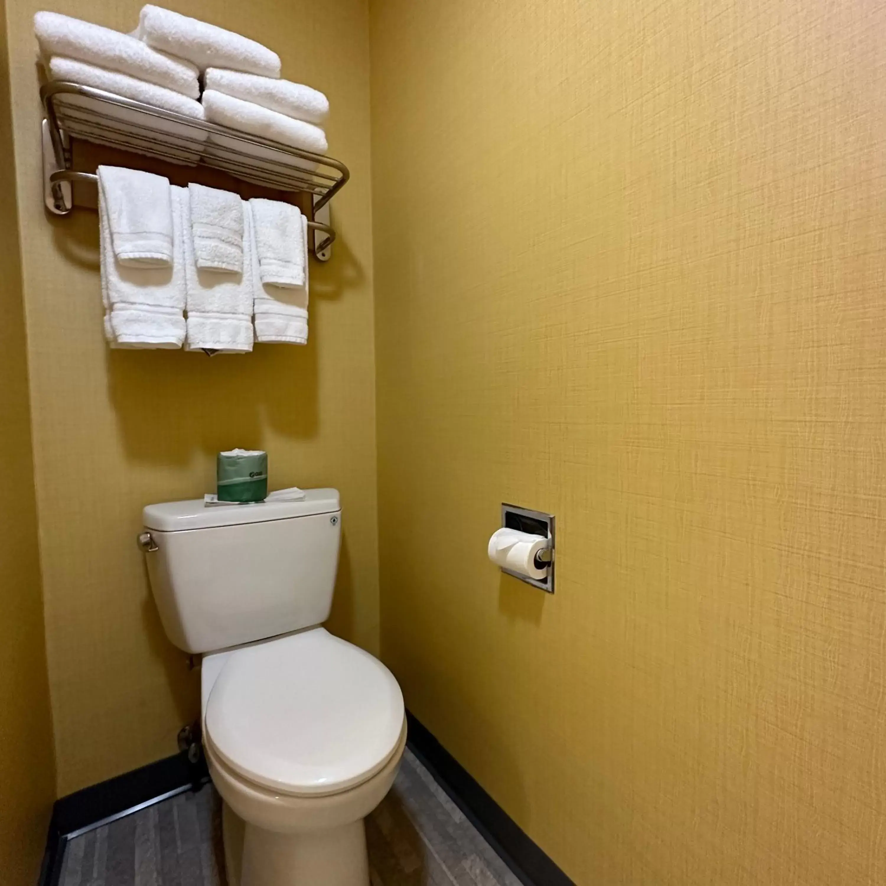 Toilet, Bathroom in Timberland Inn & Suites