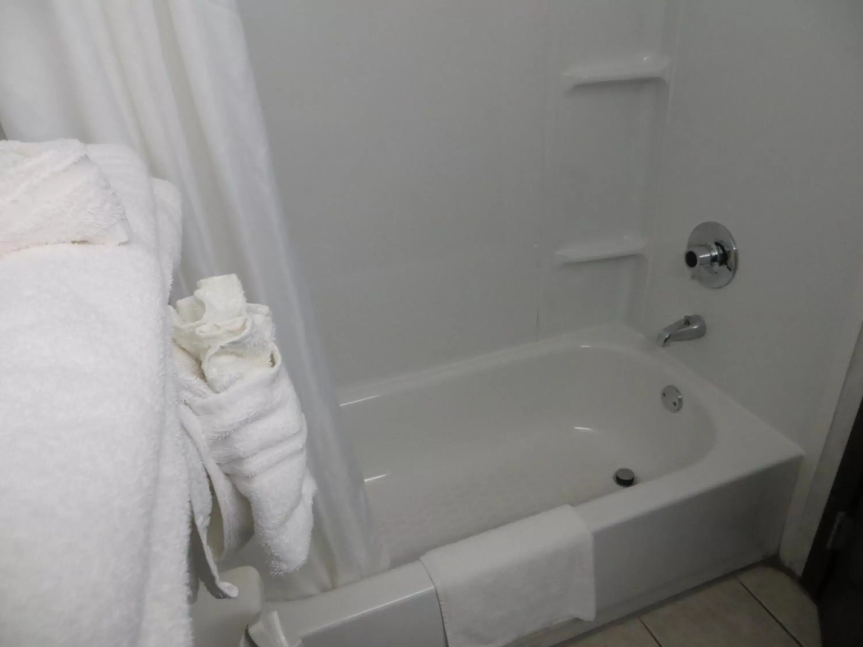 Shower, Bathroom in Americourt Hotel and Suites - Elizabethton