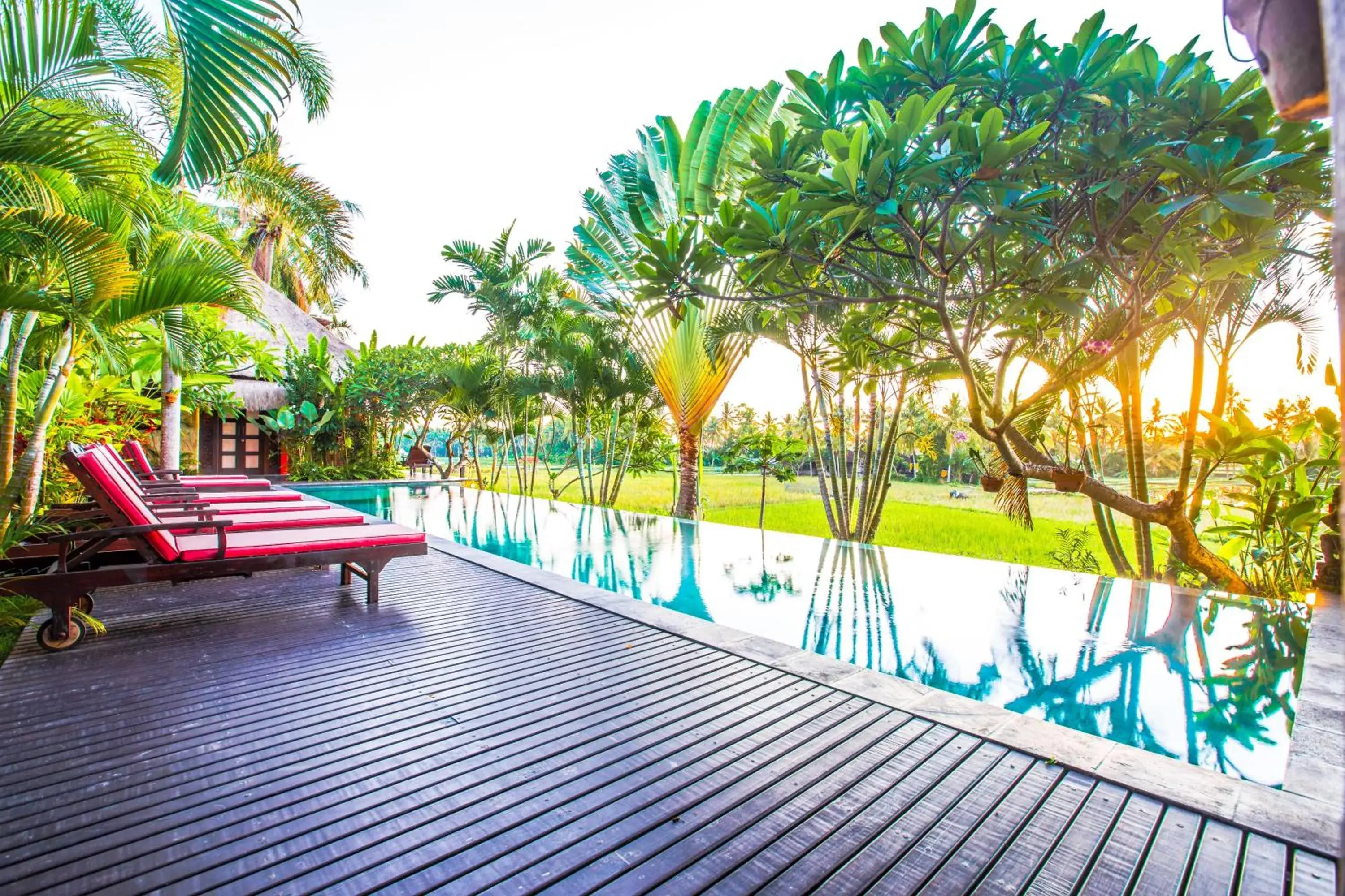 Swimming Pool in Bali Harmony Villa