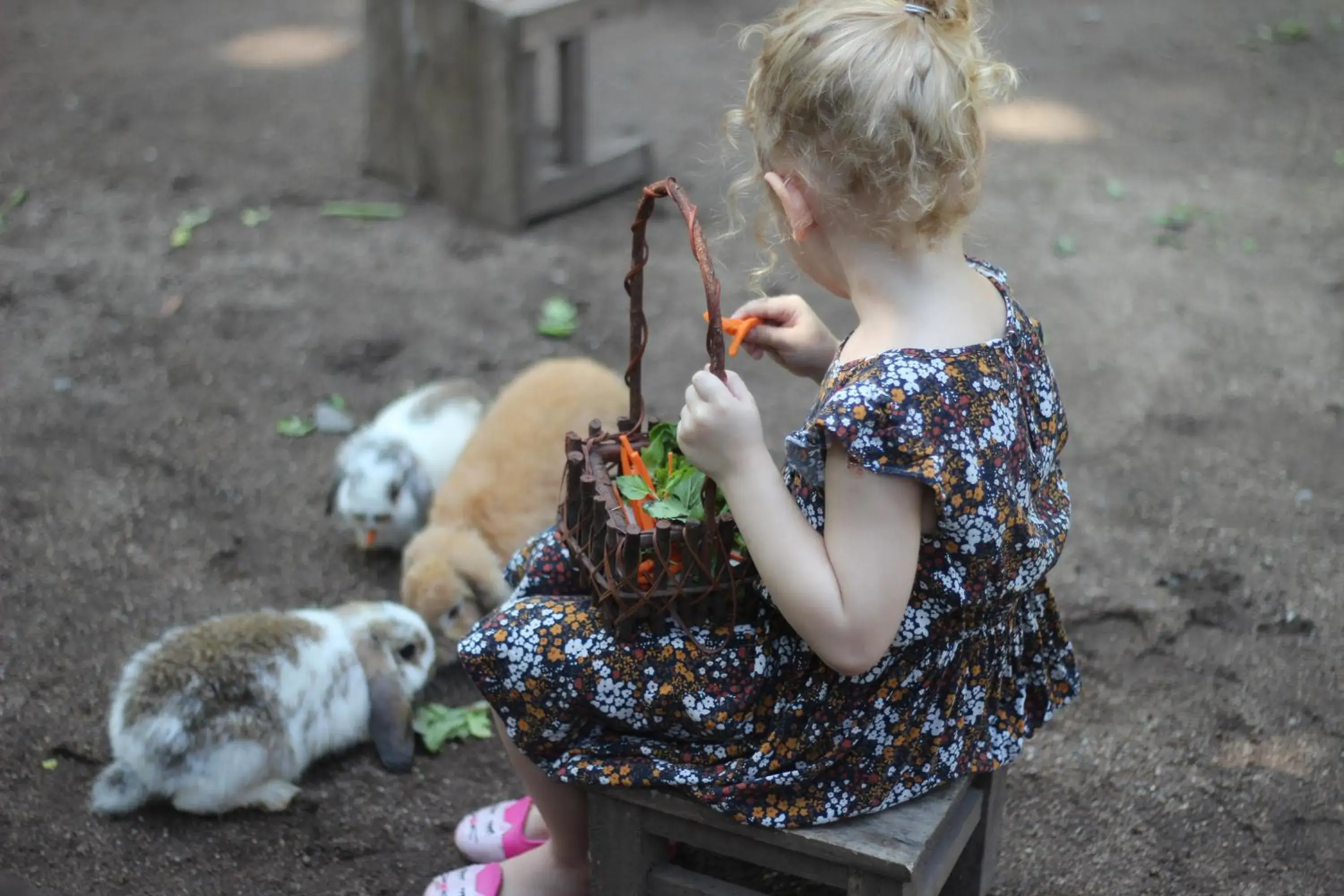 Nearby landmark, Children in Foresta Villa