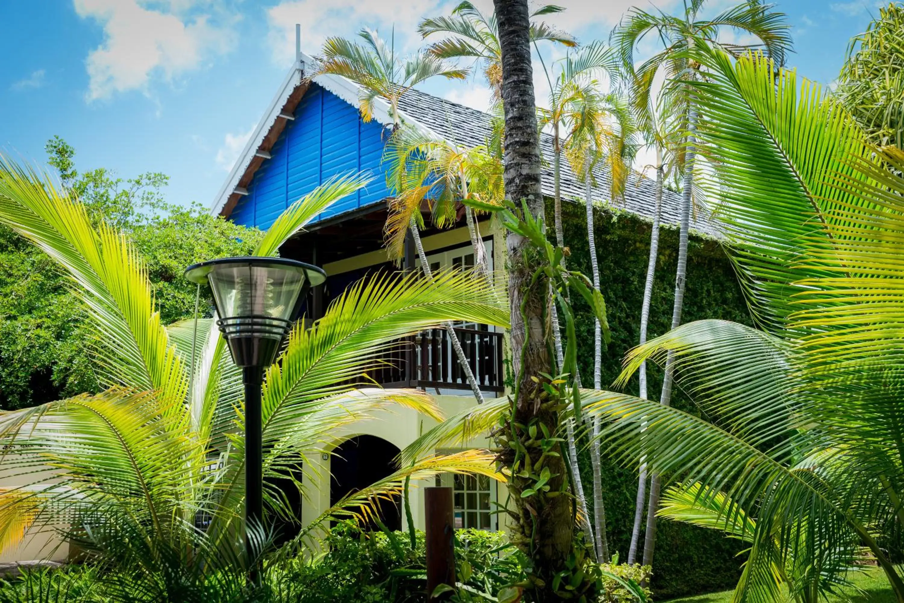 Garden, Property Building in LionsDive Beach Resort