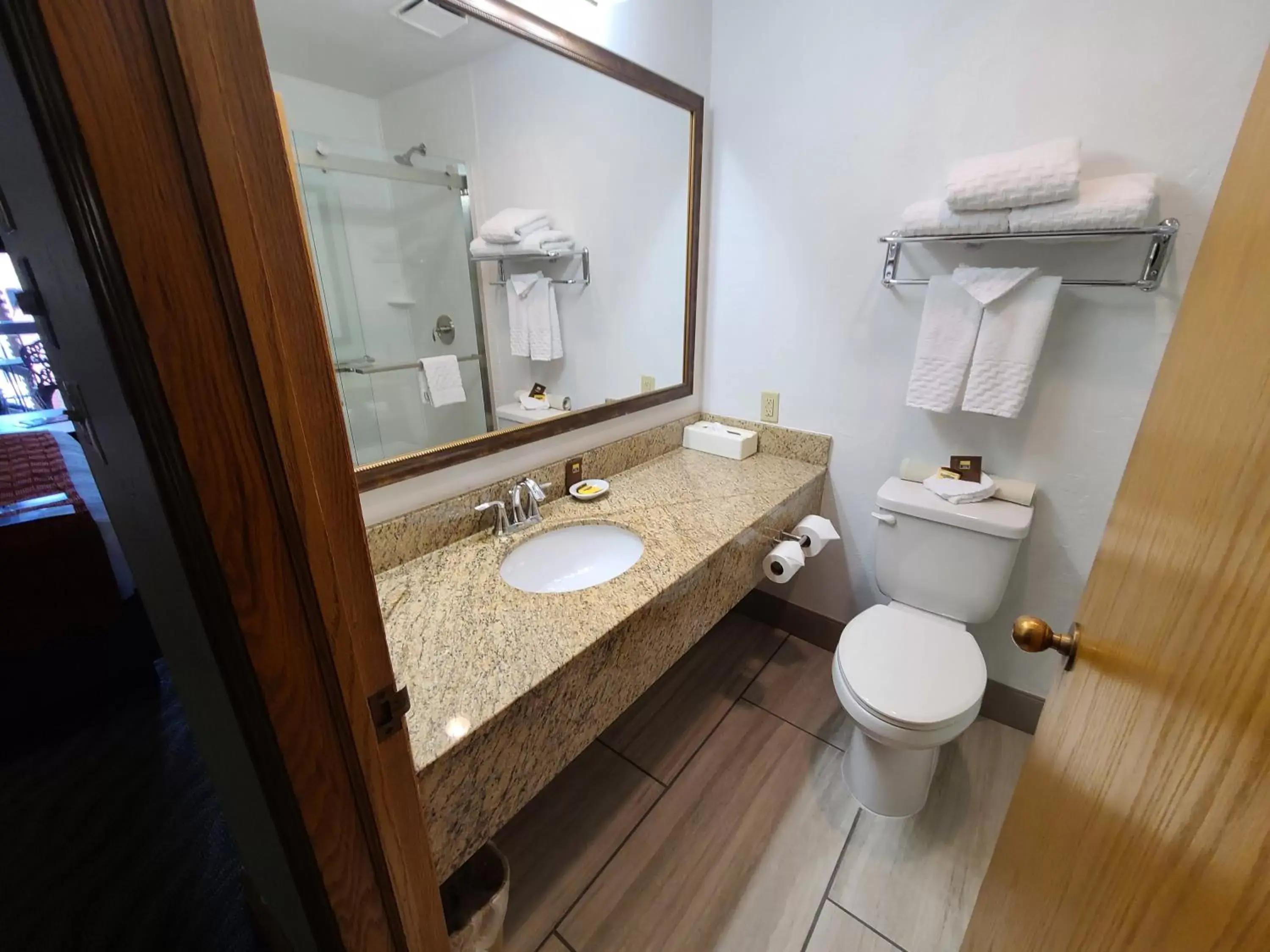 Shower, Bathroom in Best Western Plus Rio Grande Inn