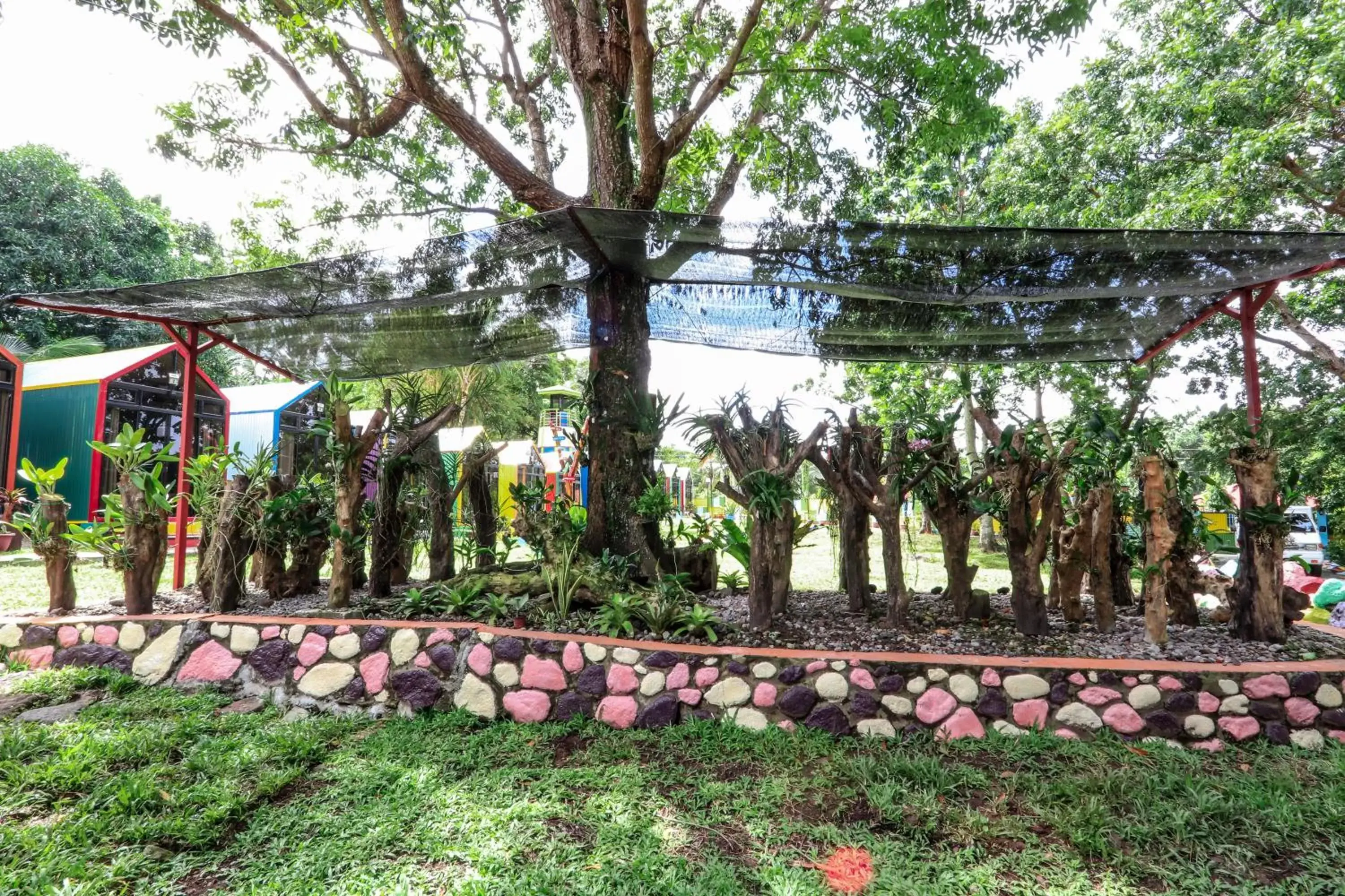 Garden in Lanzones Cabana