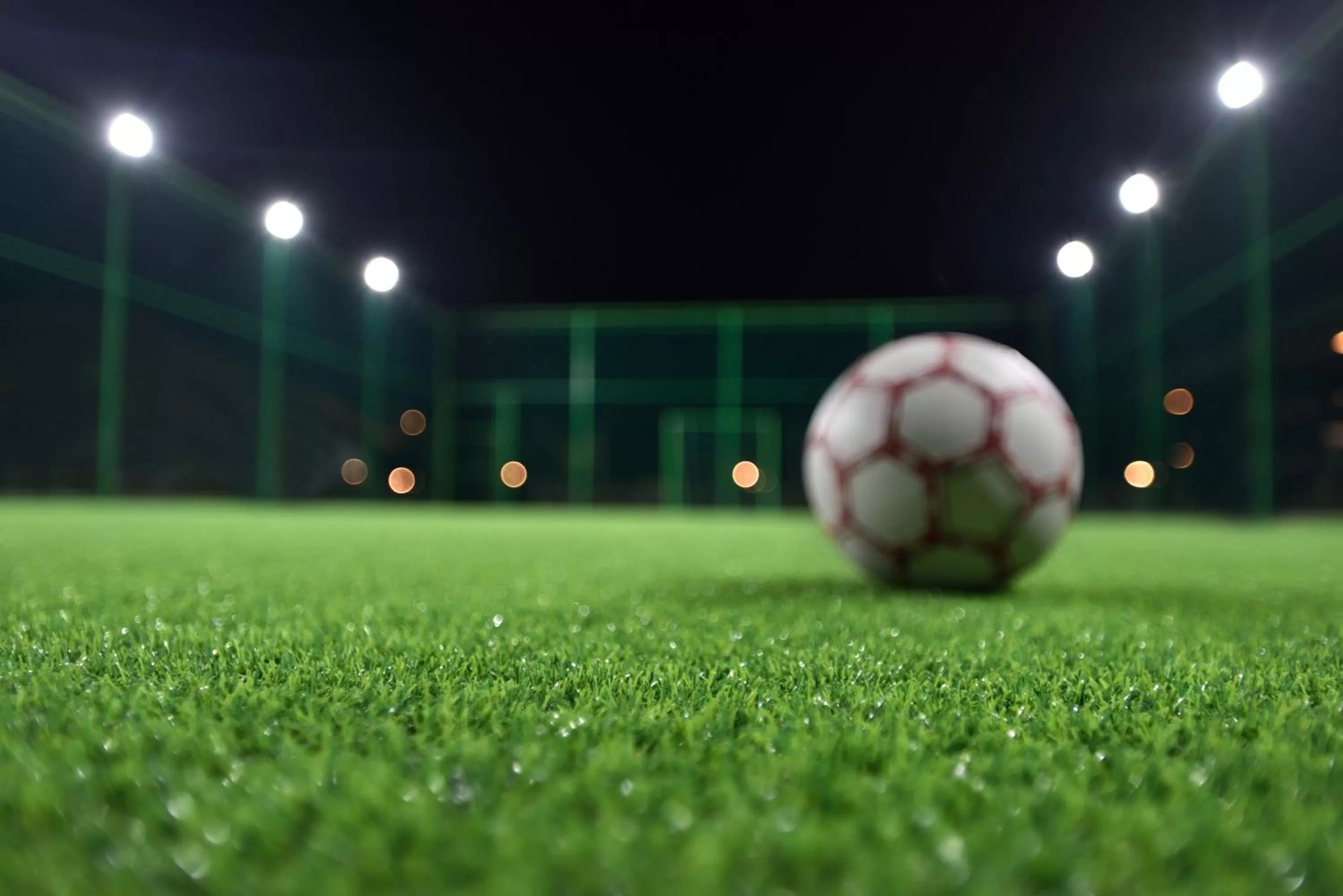 Sports in Radisson Blu Plaza Resort & Convention Centre Karjat