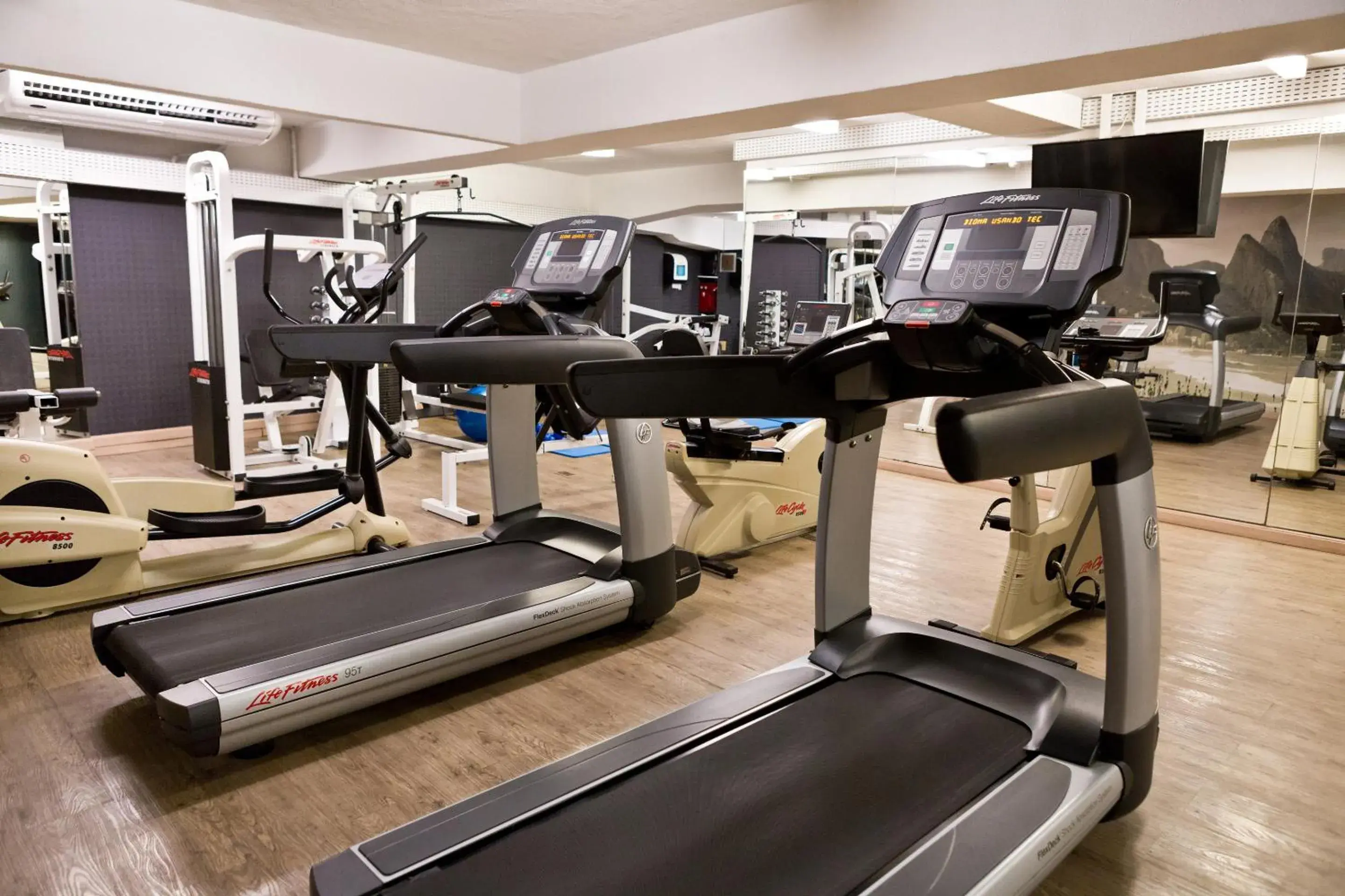 Fitness centre/facilities, Fitness Center/Facilities in Ritz Leblon