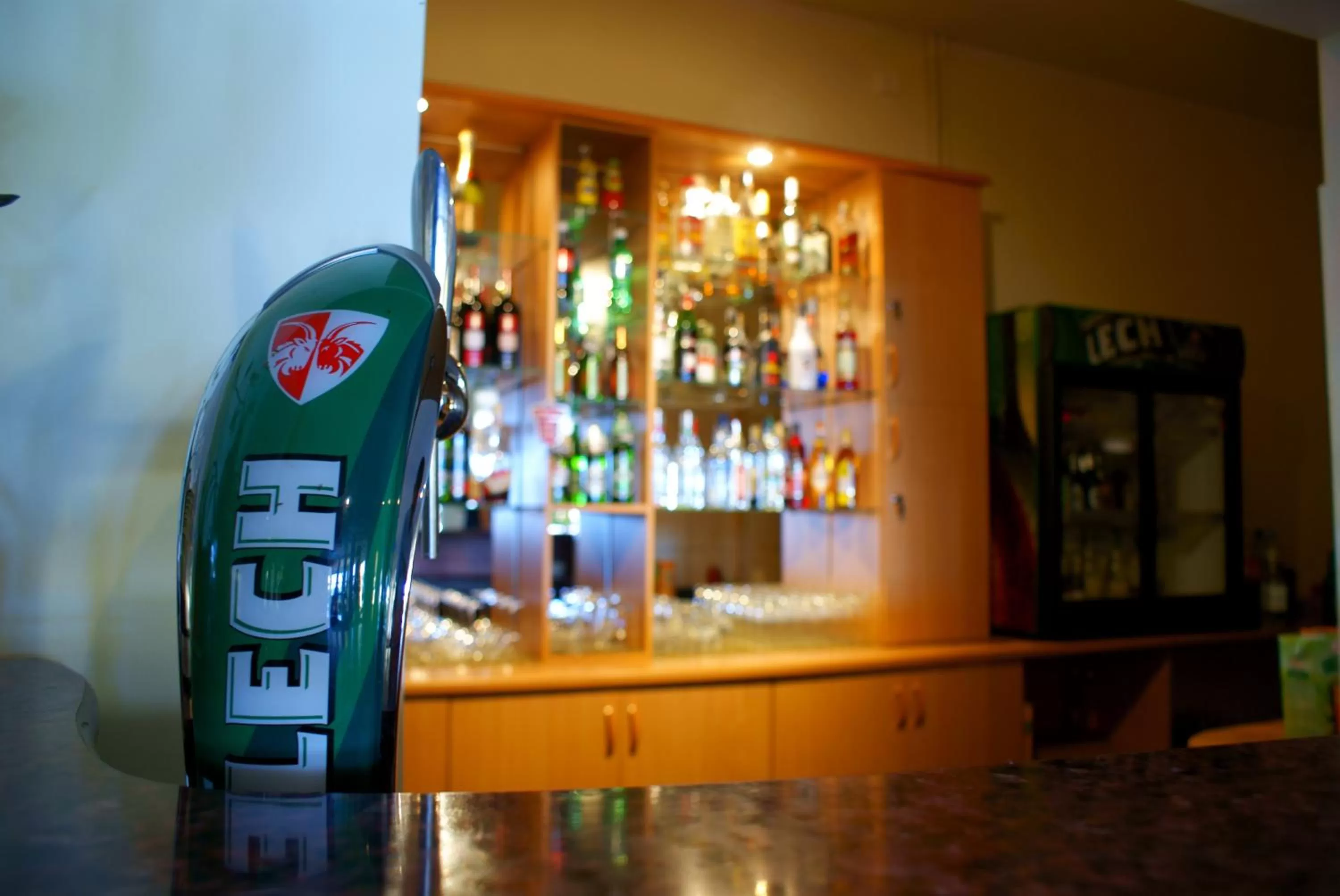 Lounge or bar in Hotel Huszcza