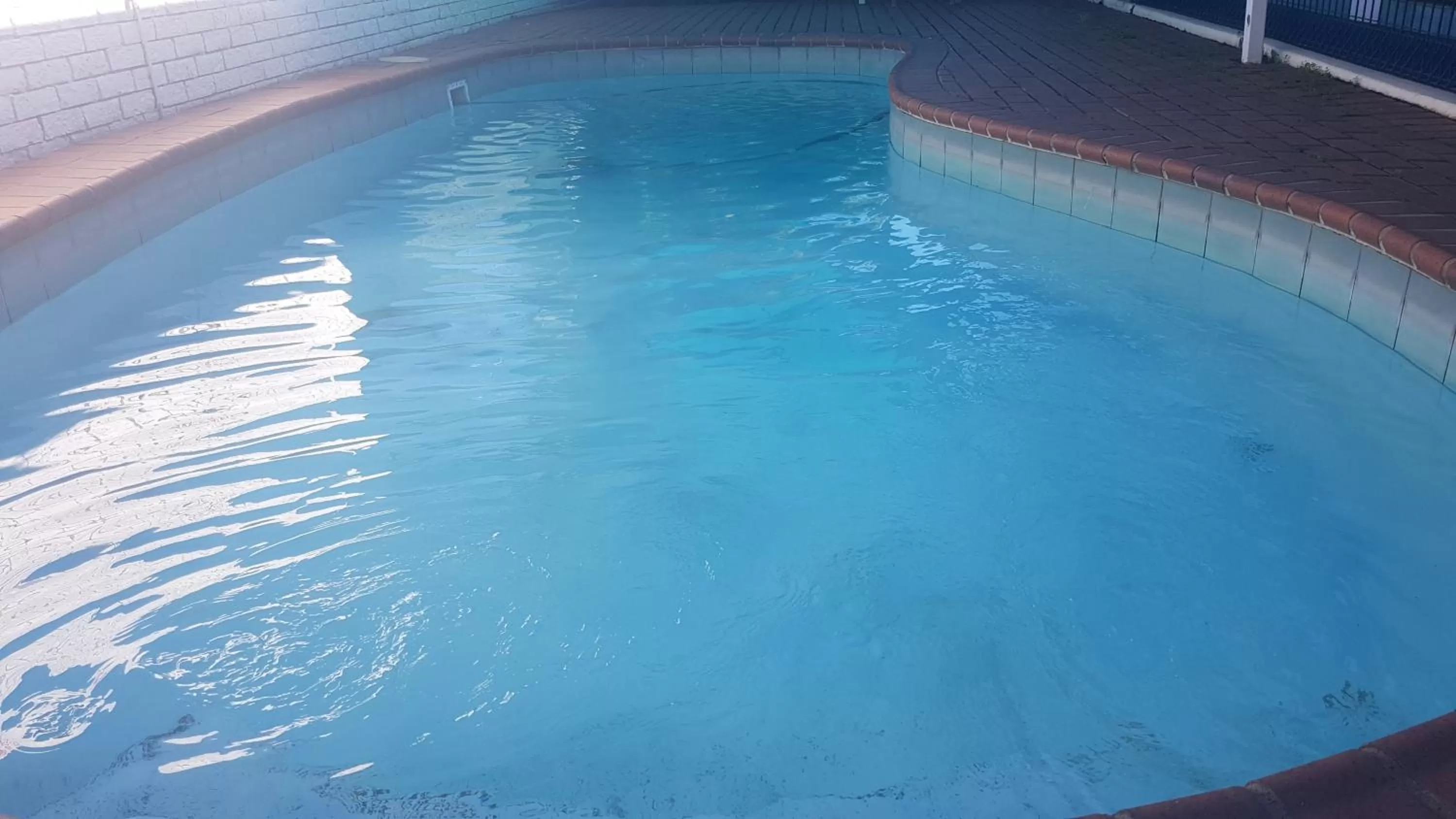 Swimming pool in Y Motels Rockhampton