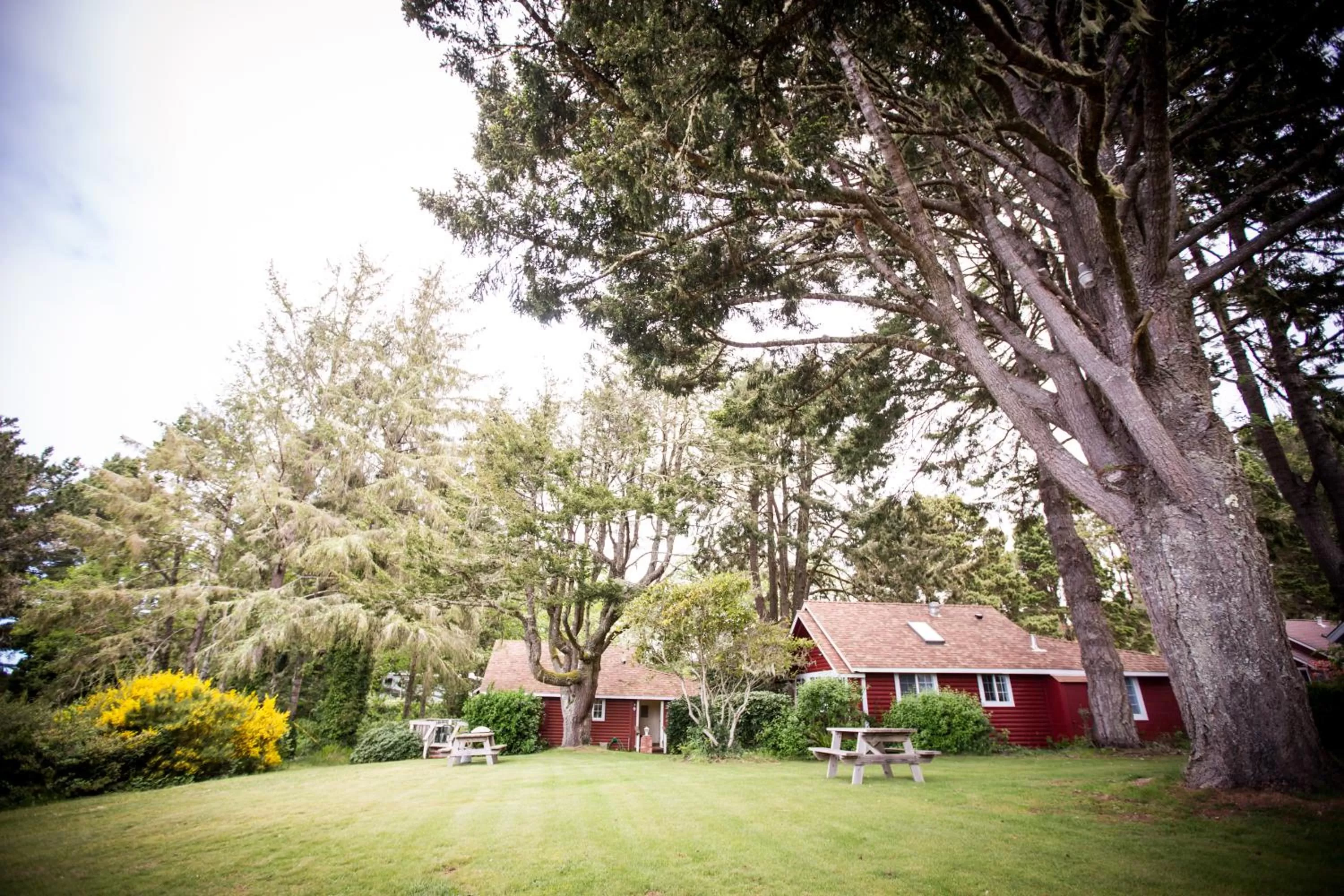Area and facilities in View Crest Lodge
