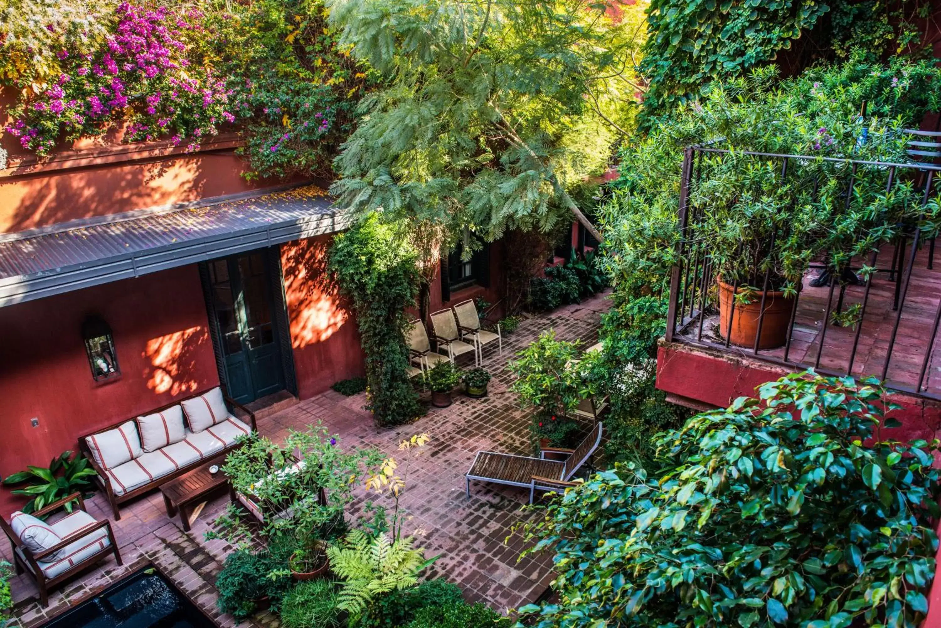 Patio in BE Jardin Escondido By Coppola