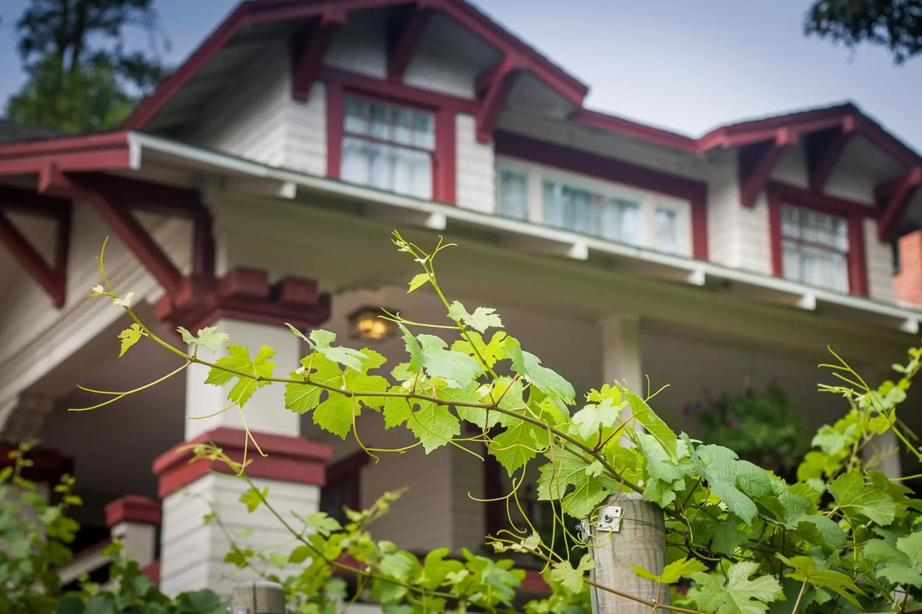 Facade/entrance, Property Building in Craftsman Inn