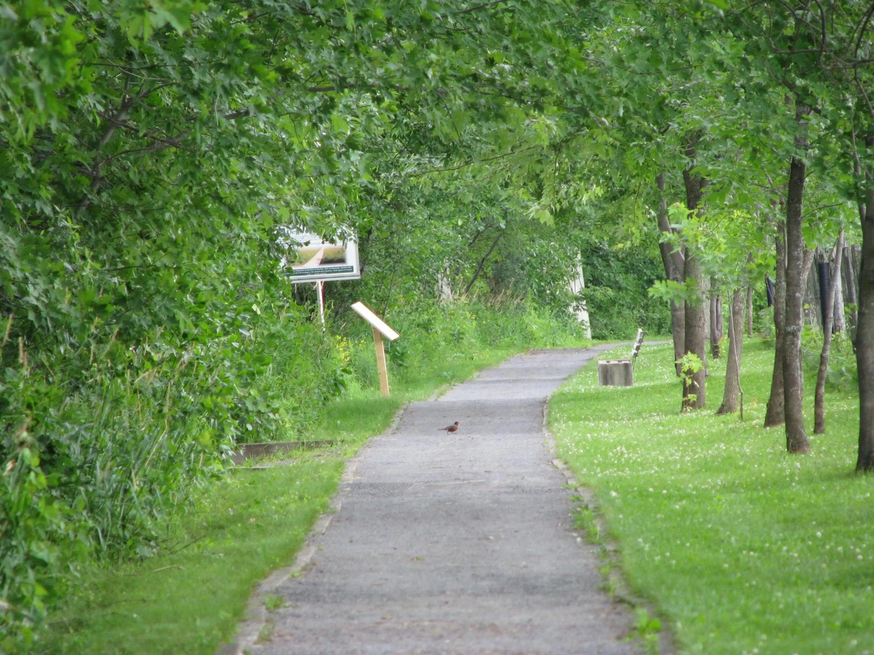 Natural landscape in Days Inn by Wyndham Berthierville