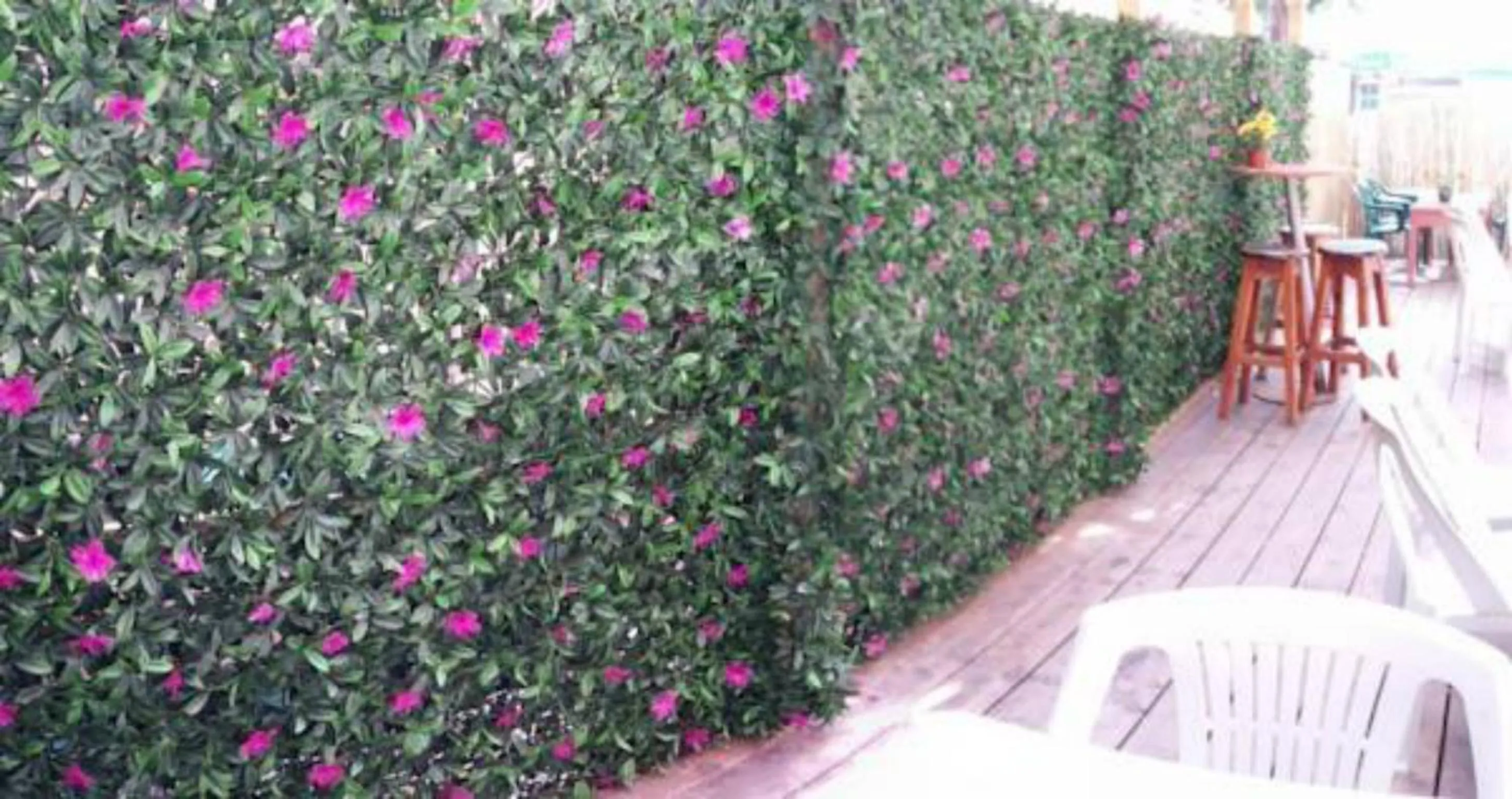 Balcony/Terrace in Momo's Hostel