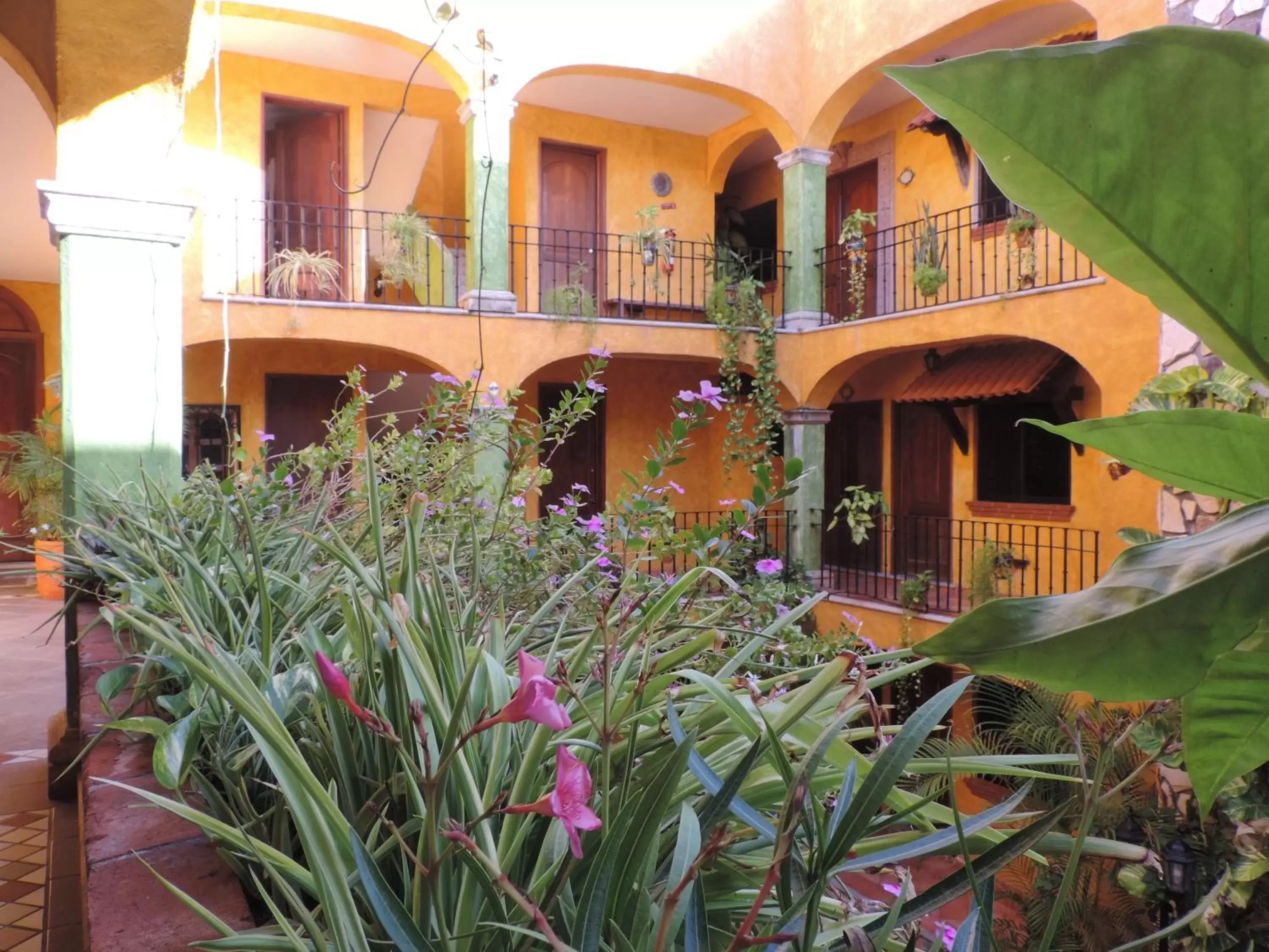 Area and facilities, Garden in Hacienda Del Caribe Hotel