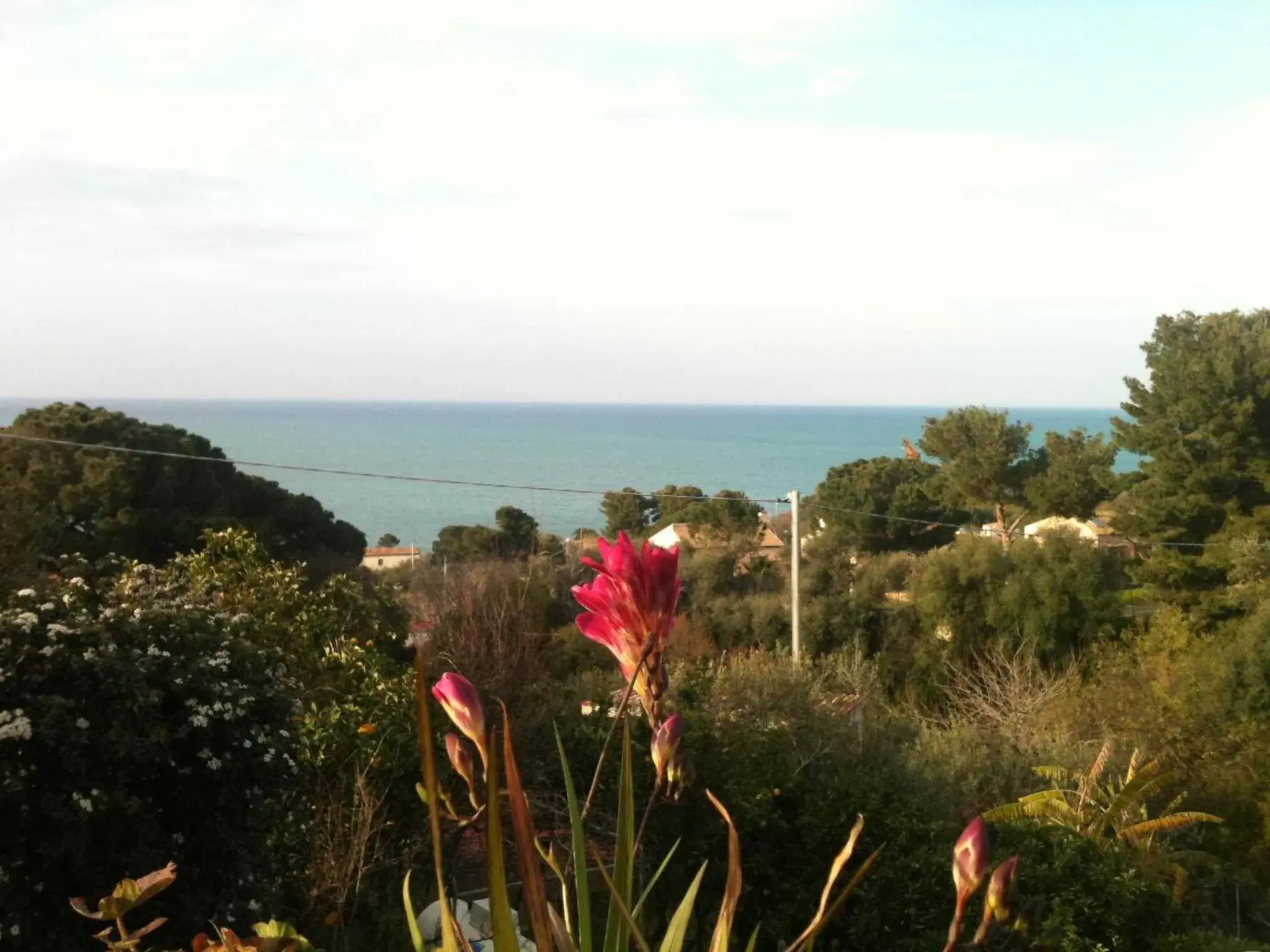 Sea View in Stanza in Villa con giardino vista mare