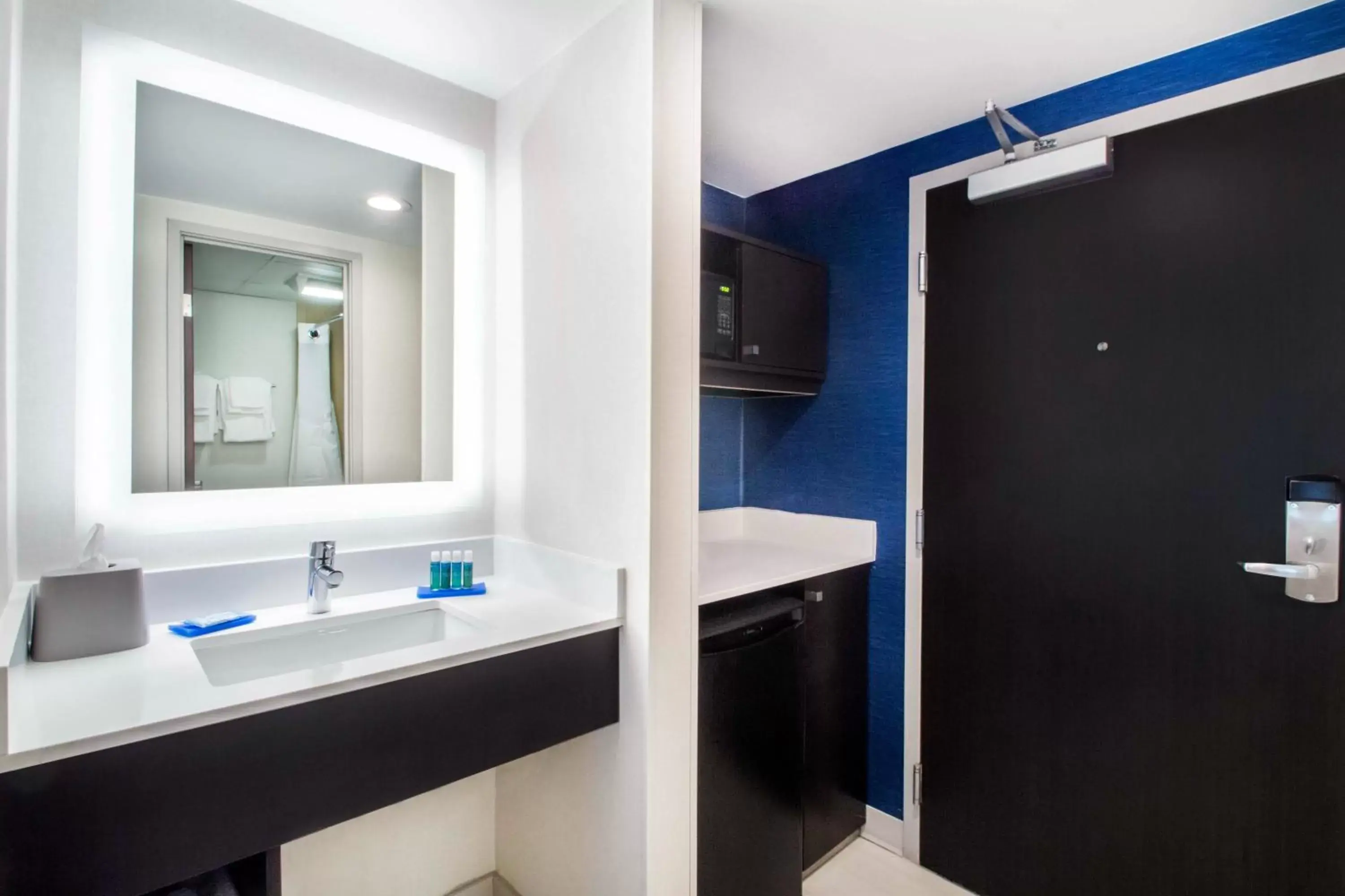 Bathroom in Holiday Inn Express & Suites - Albany Airport - Wolf Road, an IHG Hotel