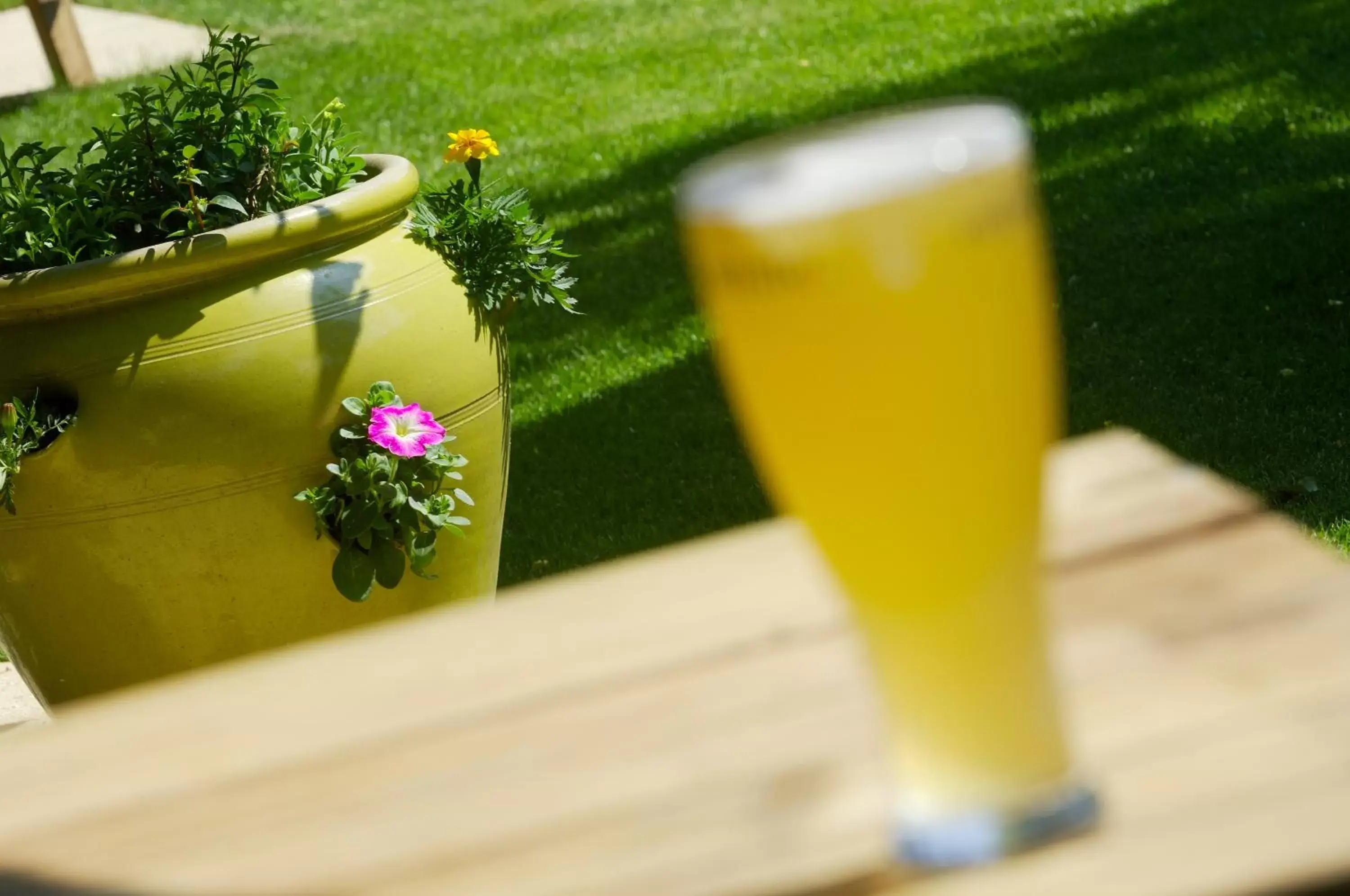 Garden view in Traquair Arms Hotel