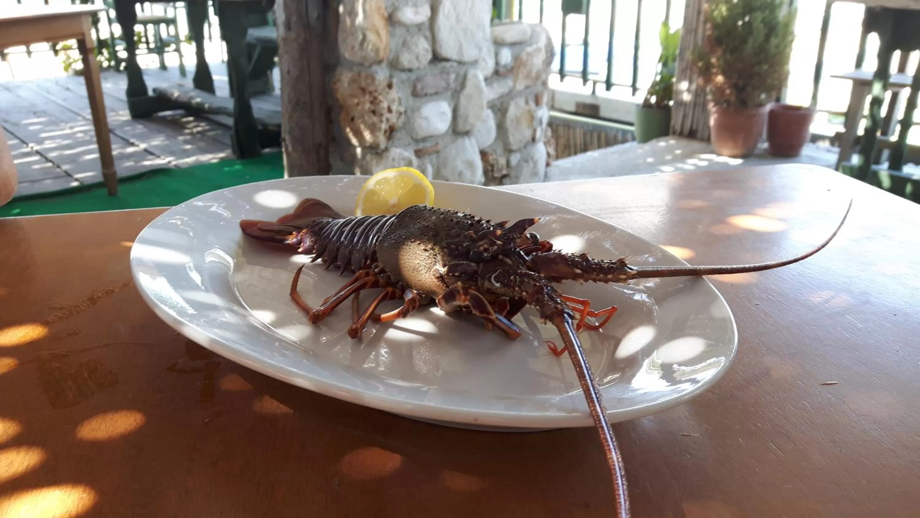 Food close-up in Maxola's Dream Orikum