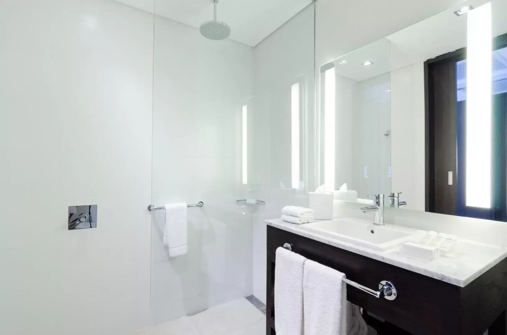 Shower, Bathroom in Hampton By Hilton Montevideo Carrasco