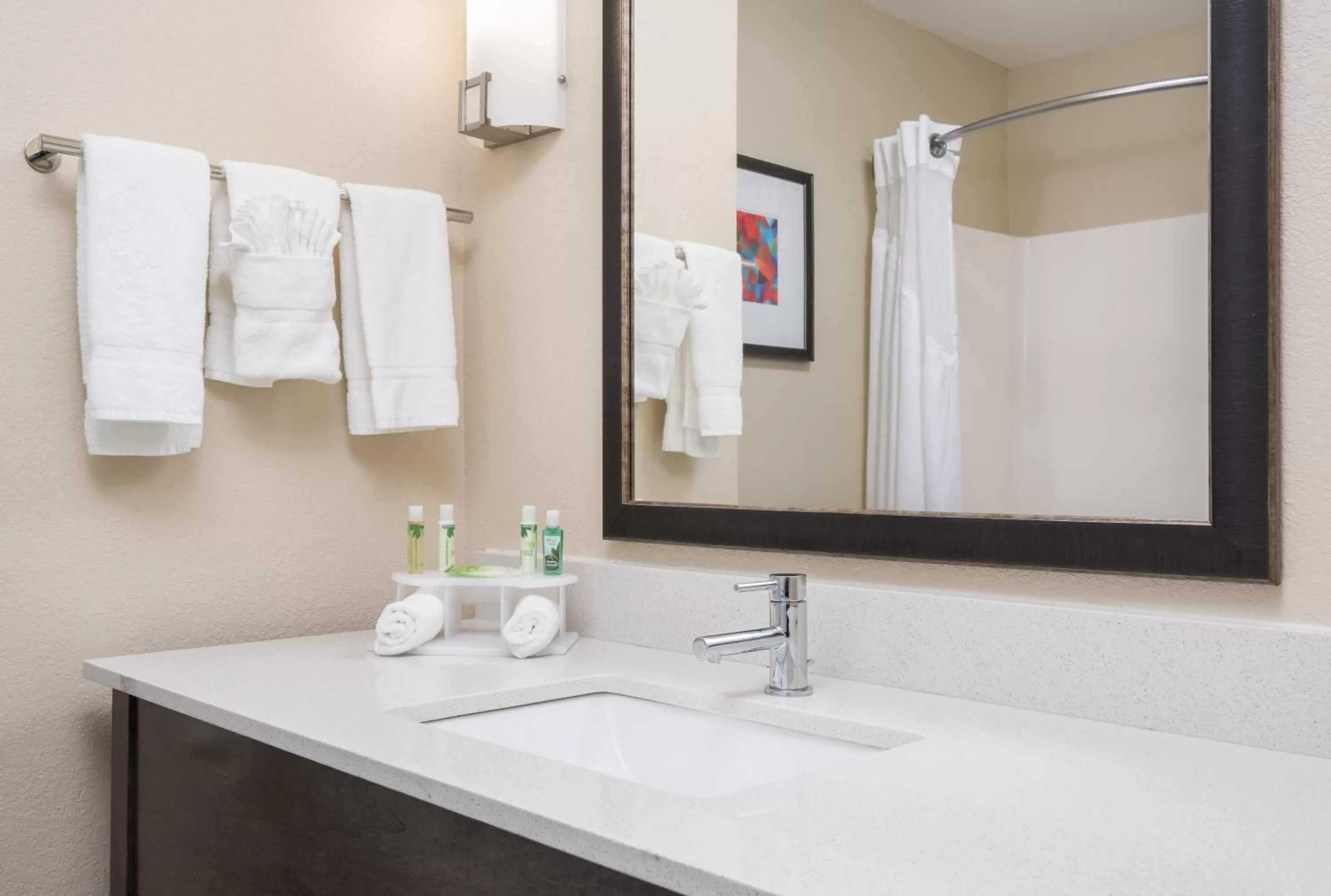 Bathroom in Holiday Inn Express Hotel & Suites Ames by IHG
