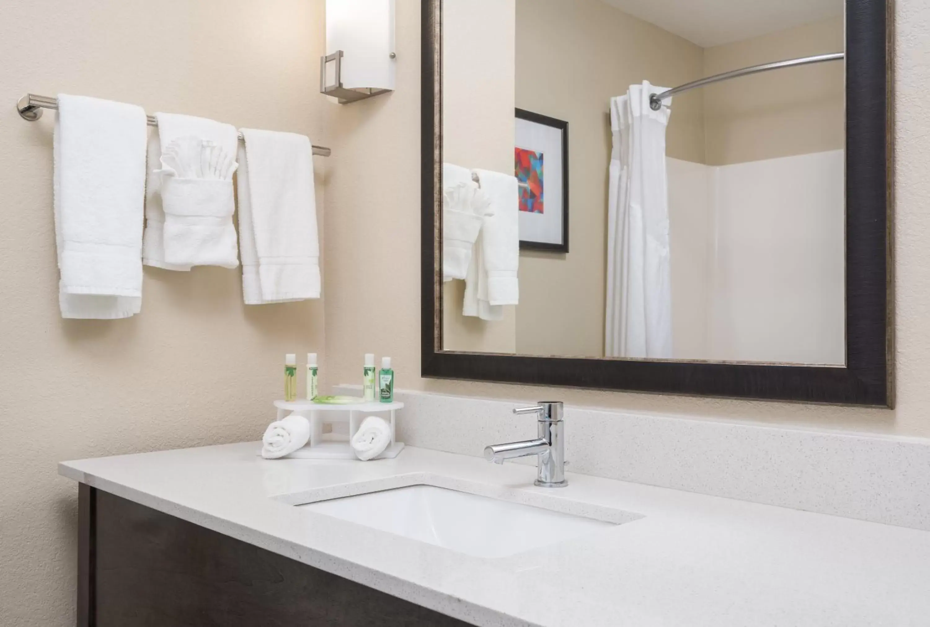 Bathroom in Holiday Inn Express Hotel & Suites Ames, an IHG Hotel