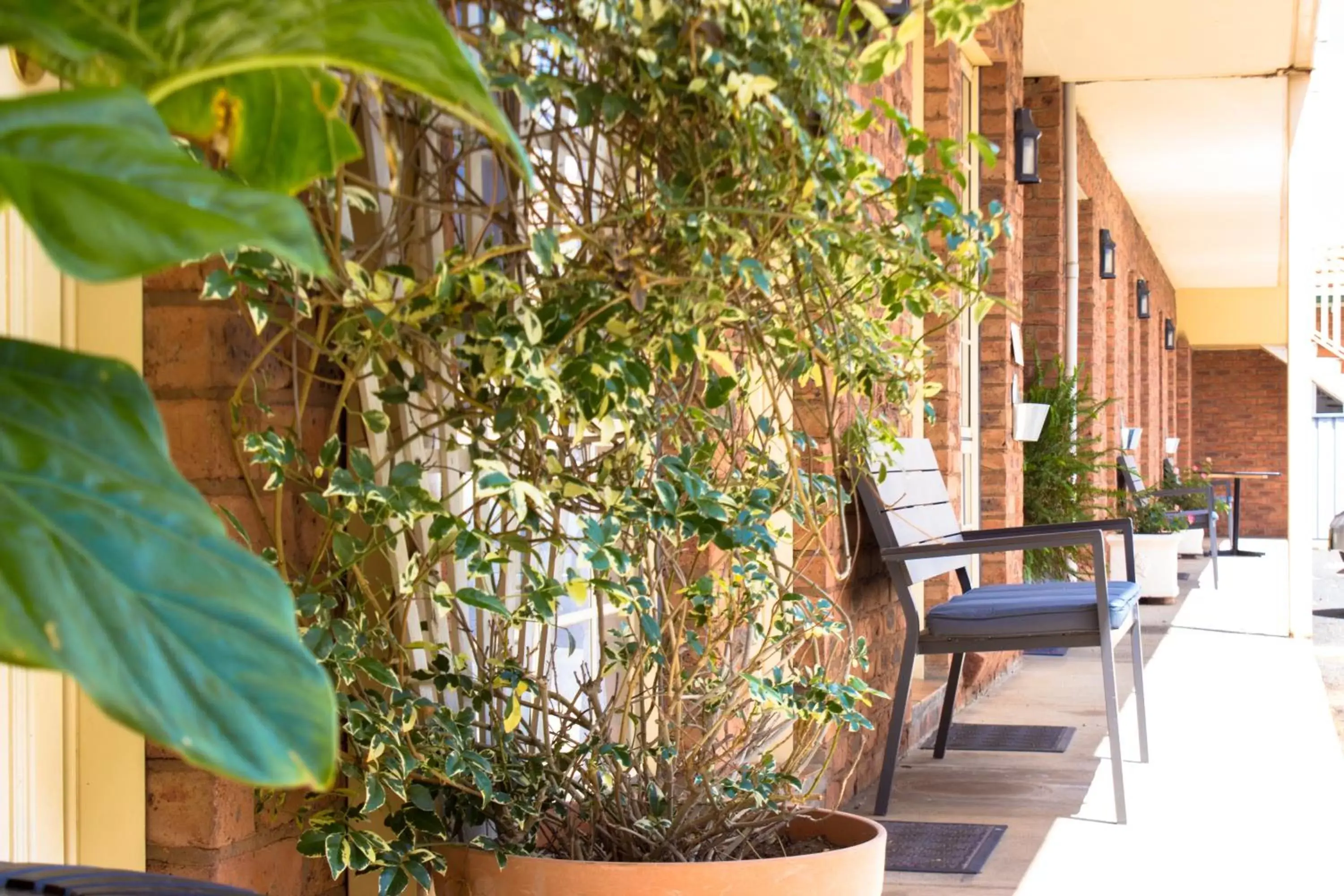 Balcony/Terrace in Shearing Shed Motor Inn