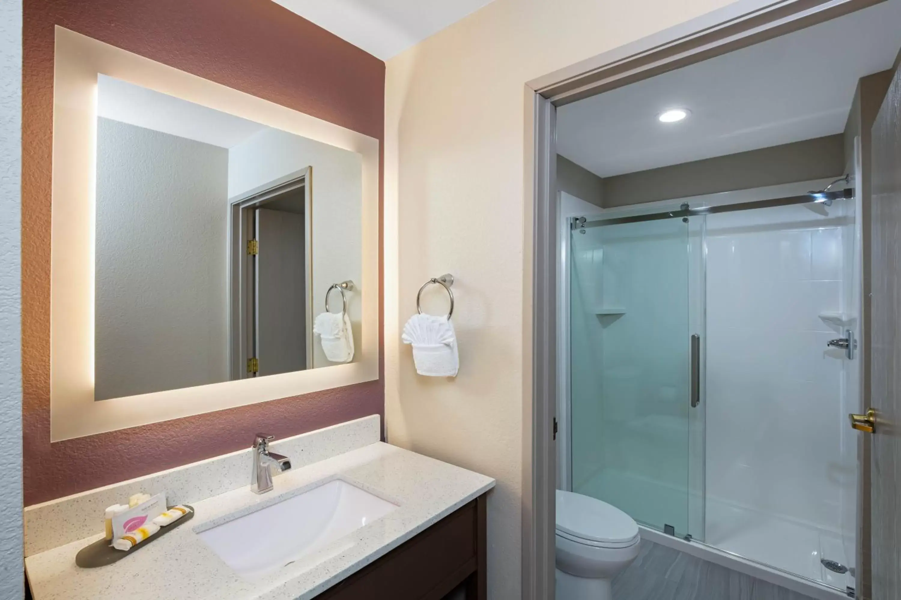 Bathroom in La Quinta Inn & Suites by Wyndham Las Vegas Nellis