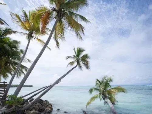 View (from property/room), Sea View in Coco Beach Marie-Galante