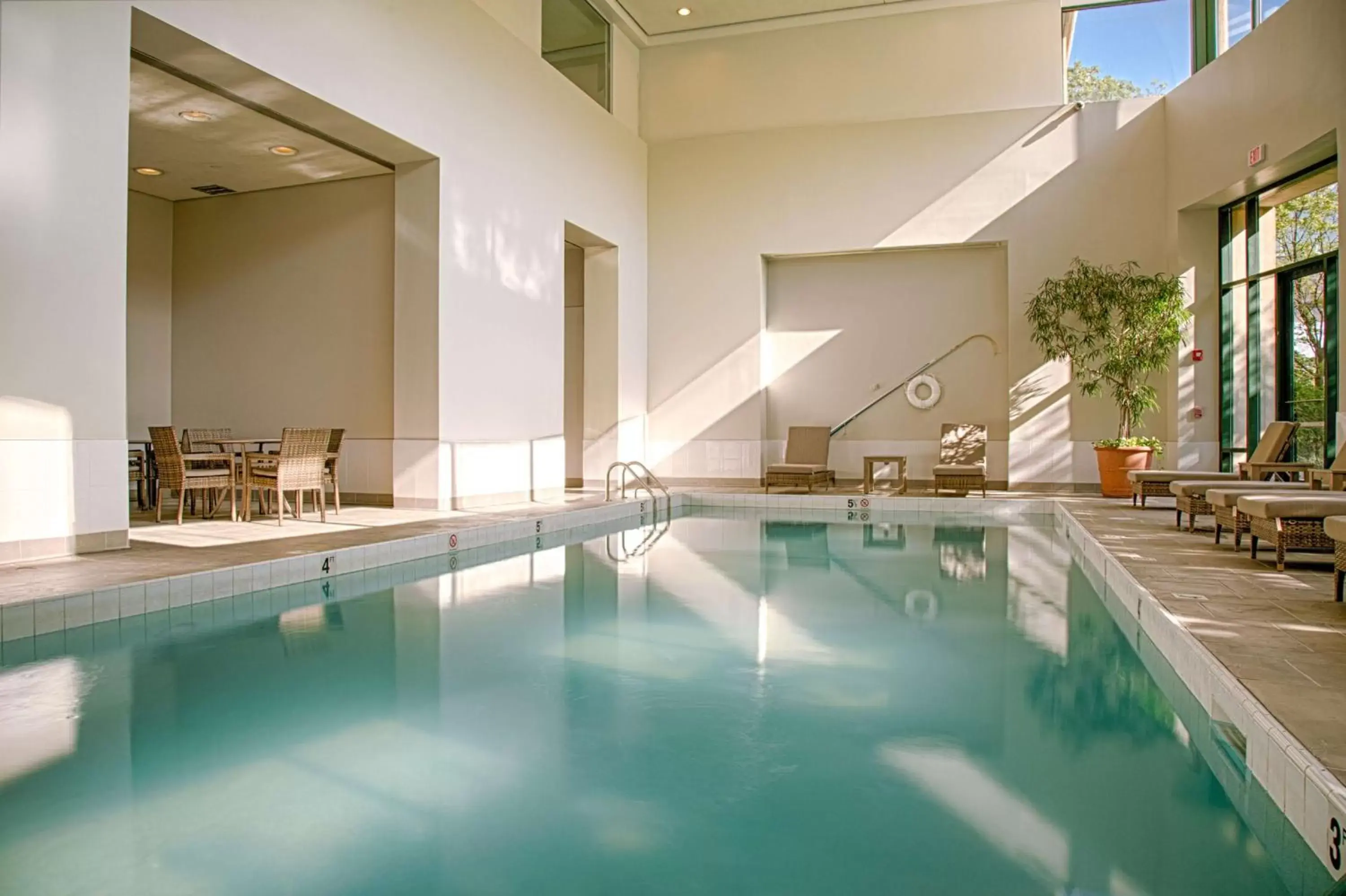 Pool view, Swimming Pool in Embassy Suites by Hilton Chicago O'Hare Rosemont