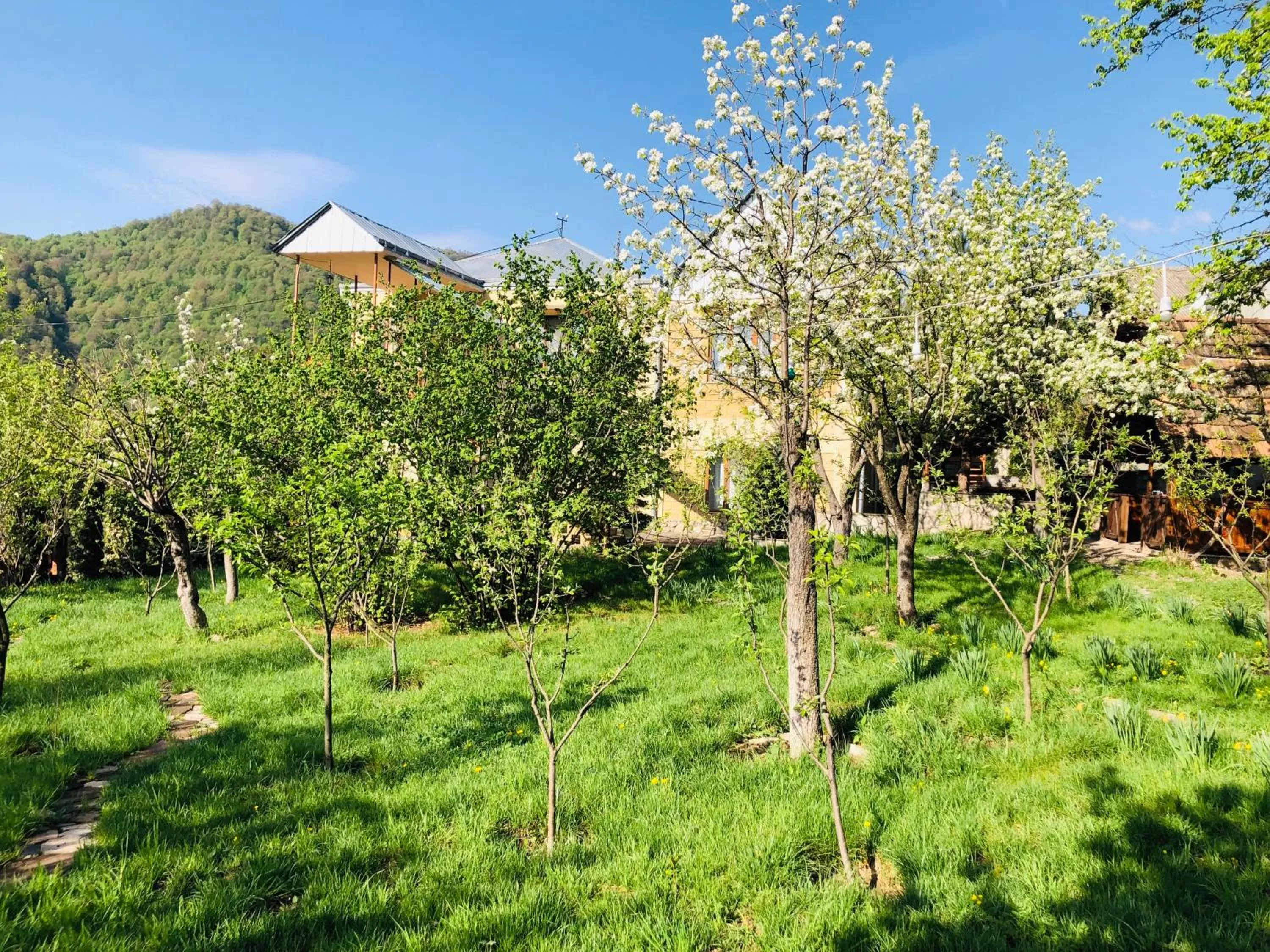 Property building in Dil Hill by Sam