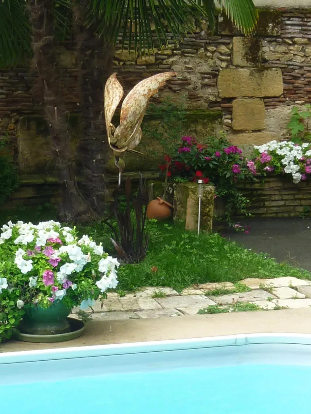 Garden, Swimming Pool in Hotel de France