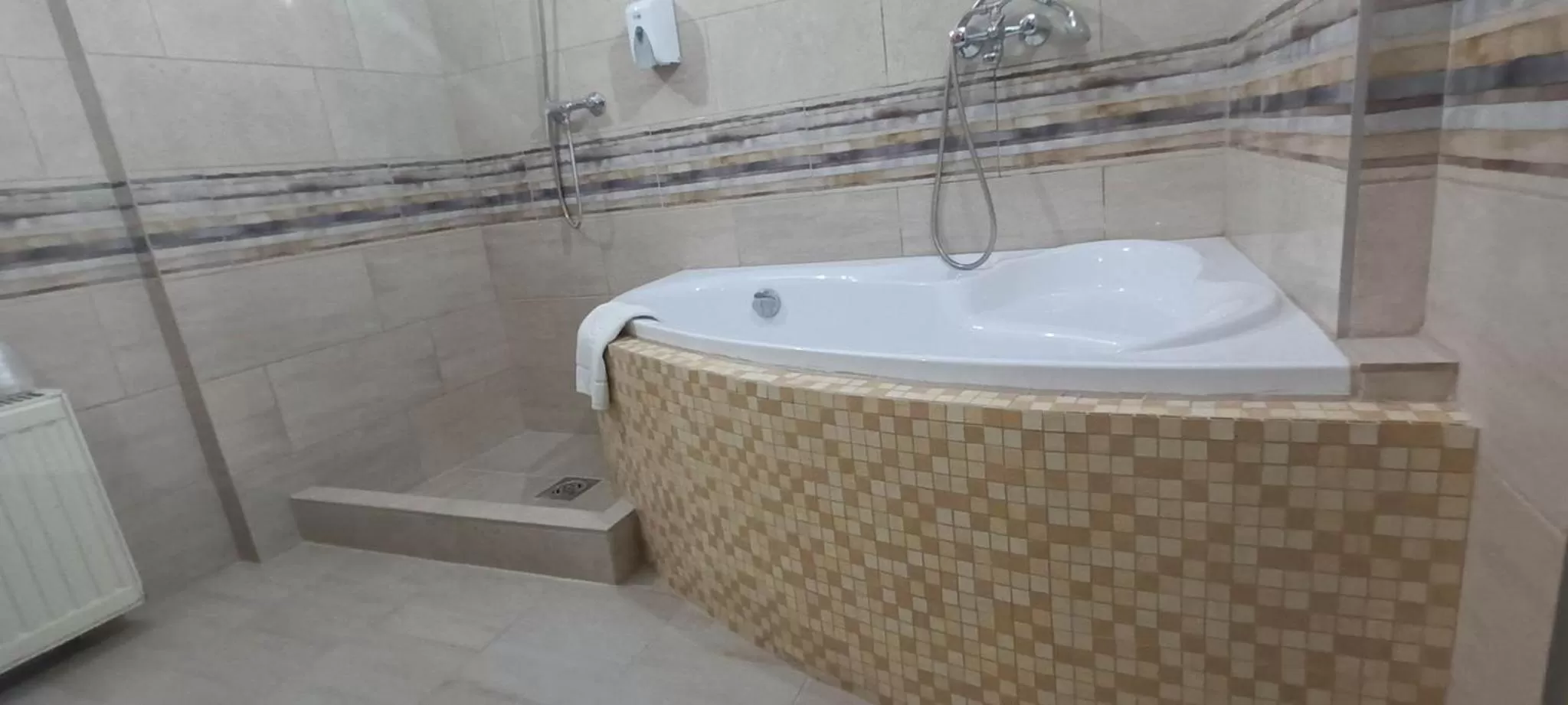 Shower in Hotel Unicornis