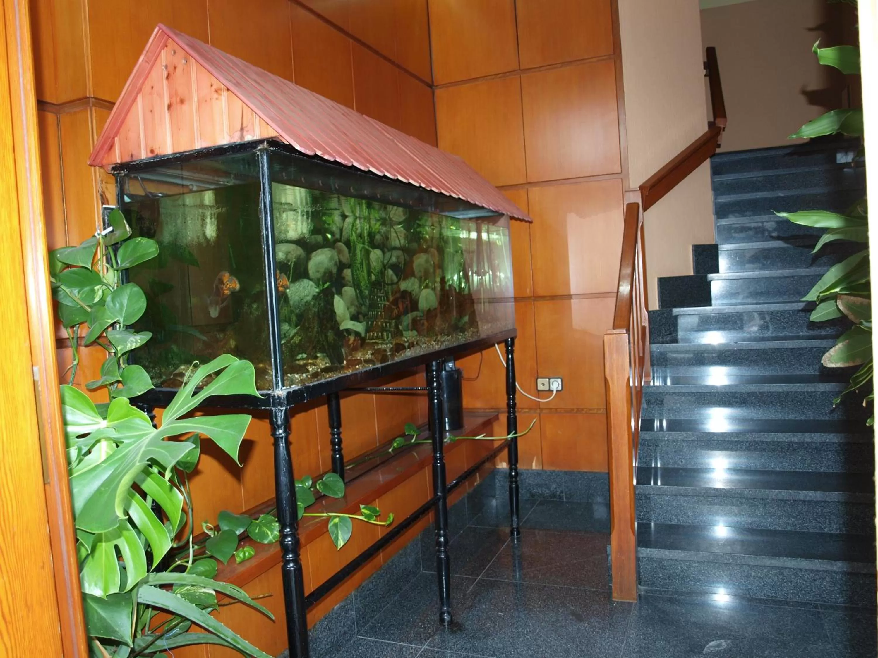 Property building in Hotel Francisco Javier