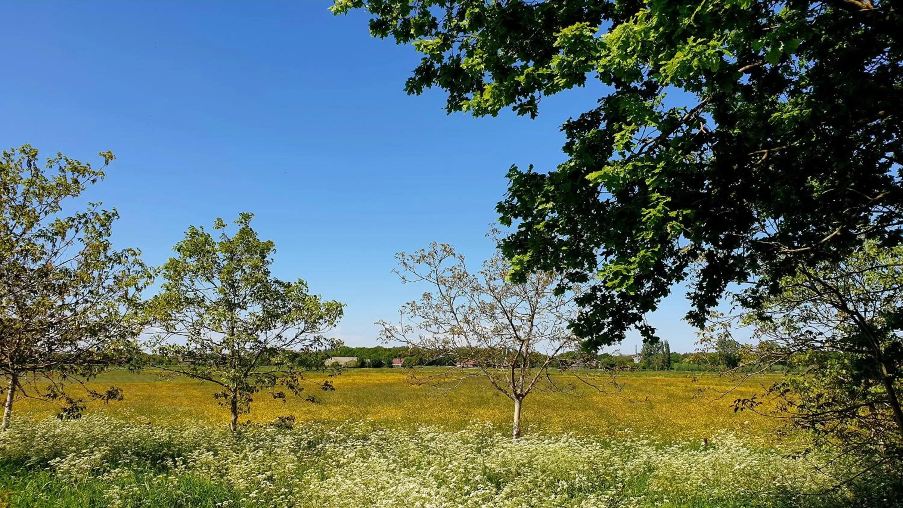 B&B de Scherpenhof