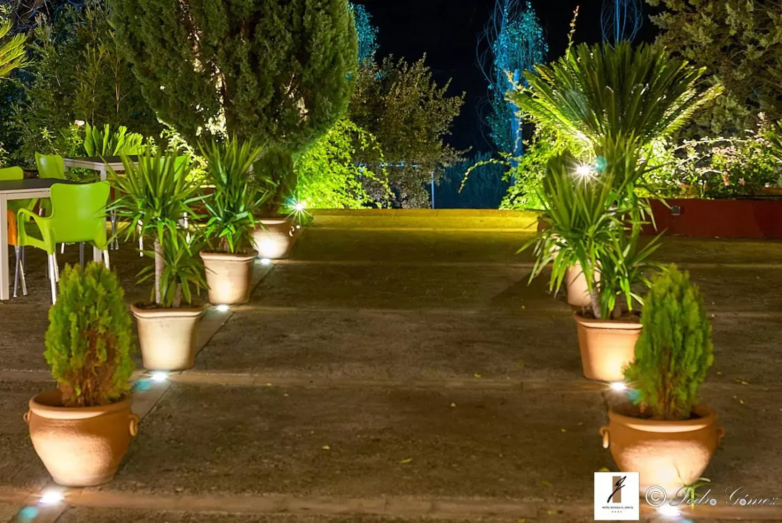 Garden in Hotel Bodega El Juncal