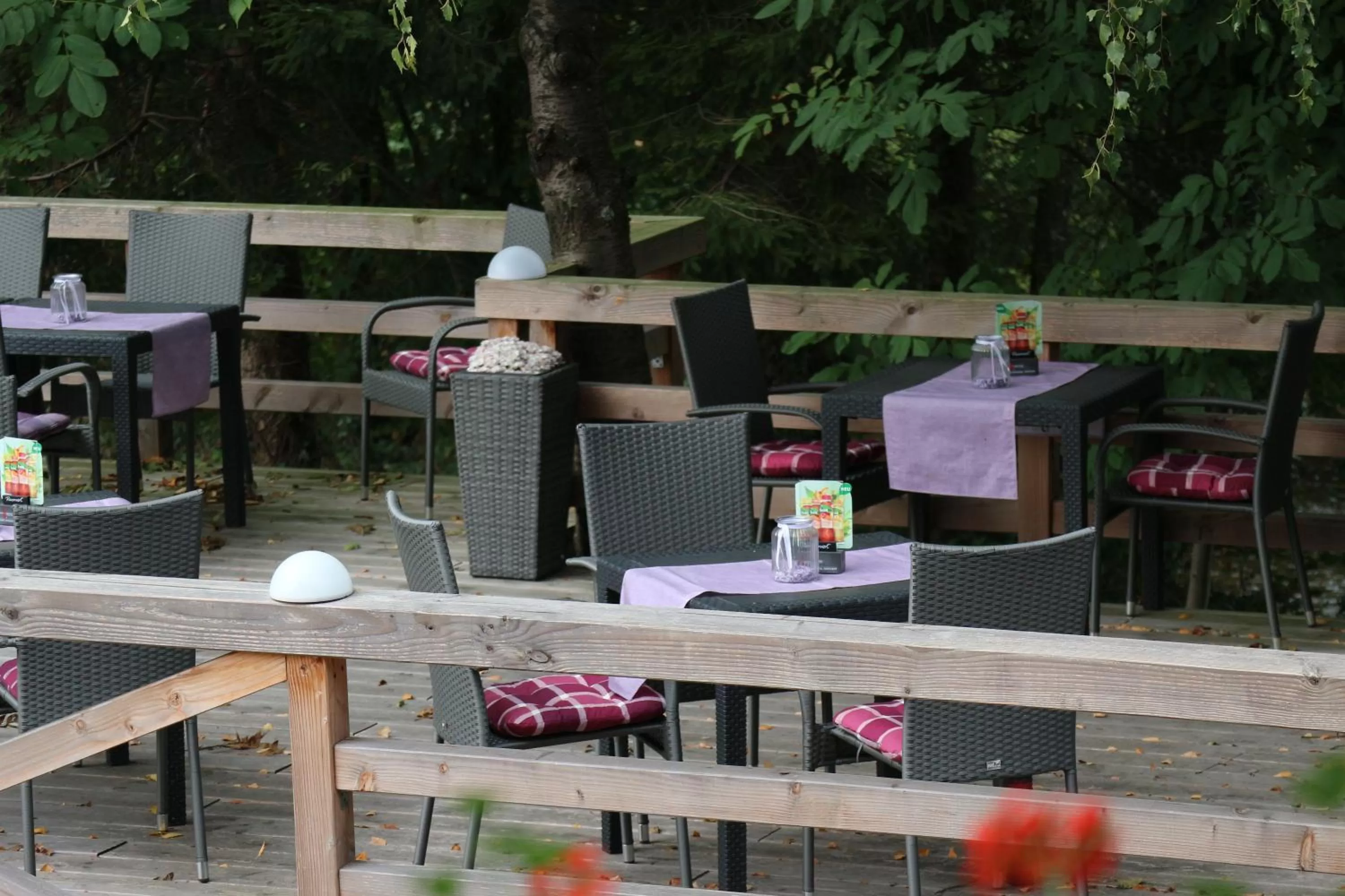 Balcony/Terrace in Schwarzwaldhotel Stollen