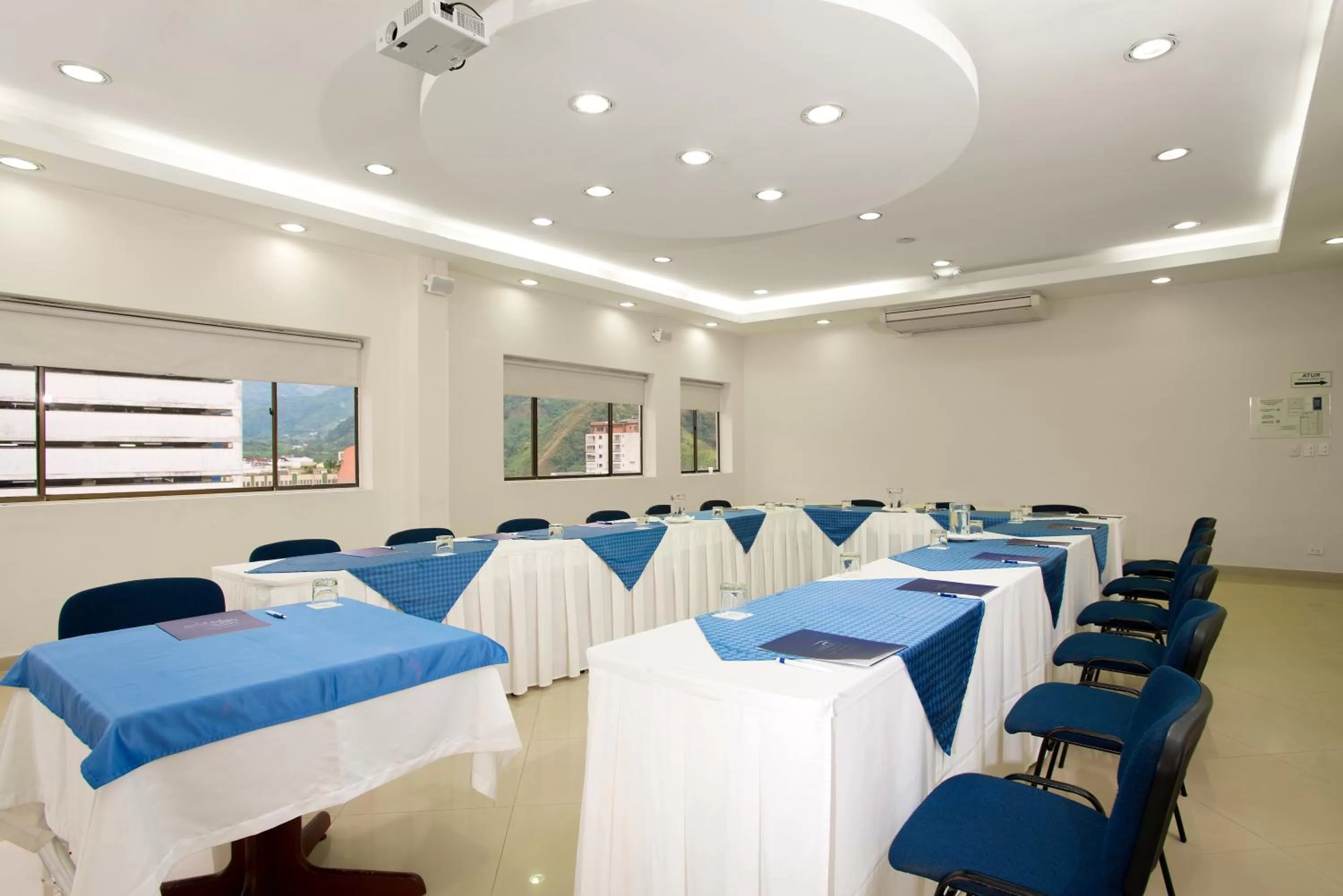 Business facilities in Hotel Dann Combeima