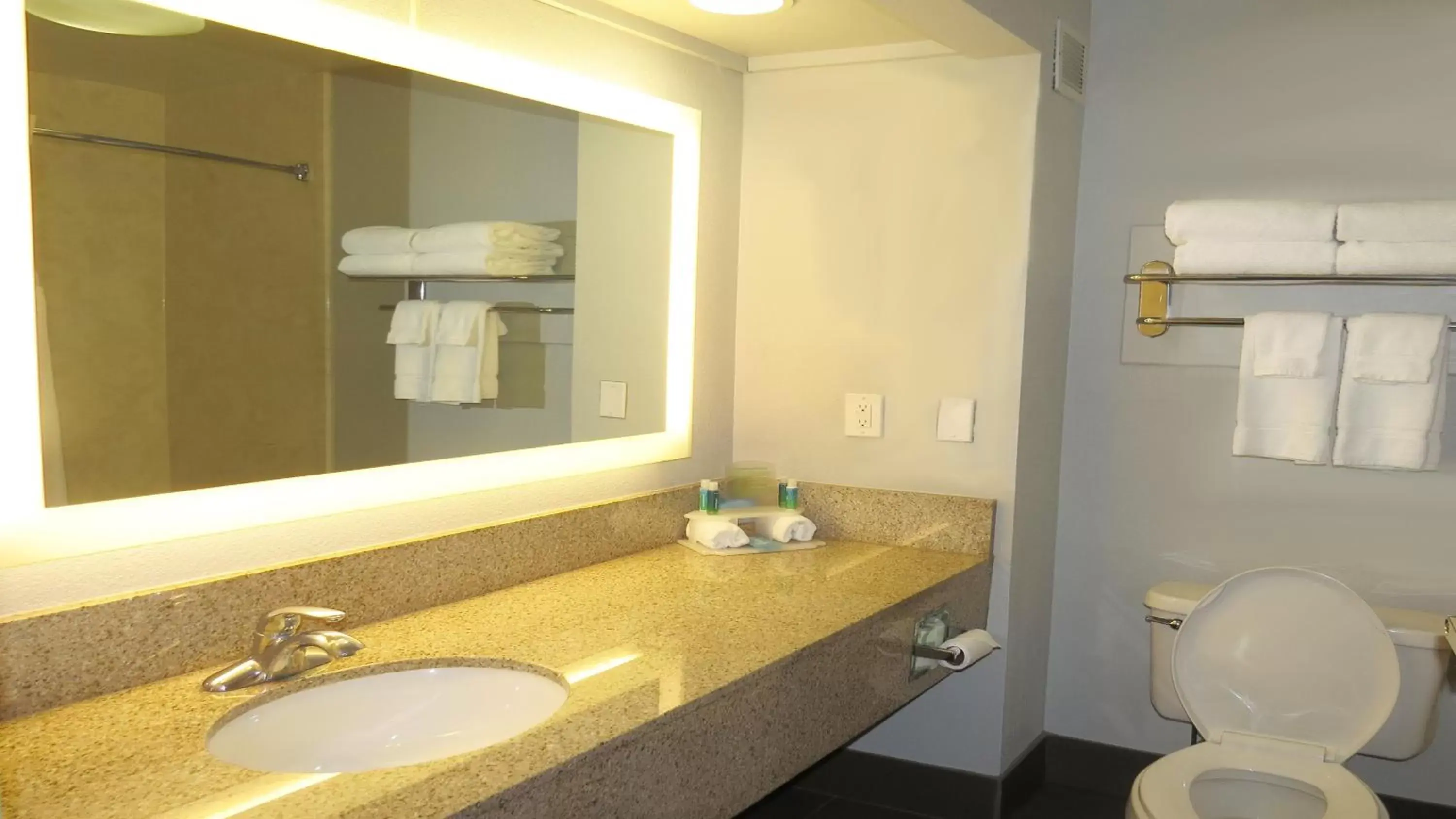 Bathroom in Holiday Inn Express & Suites - Oxford, an IHG Hotel