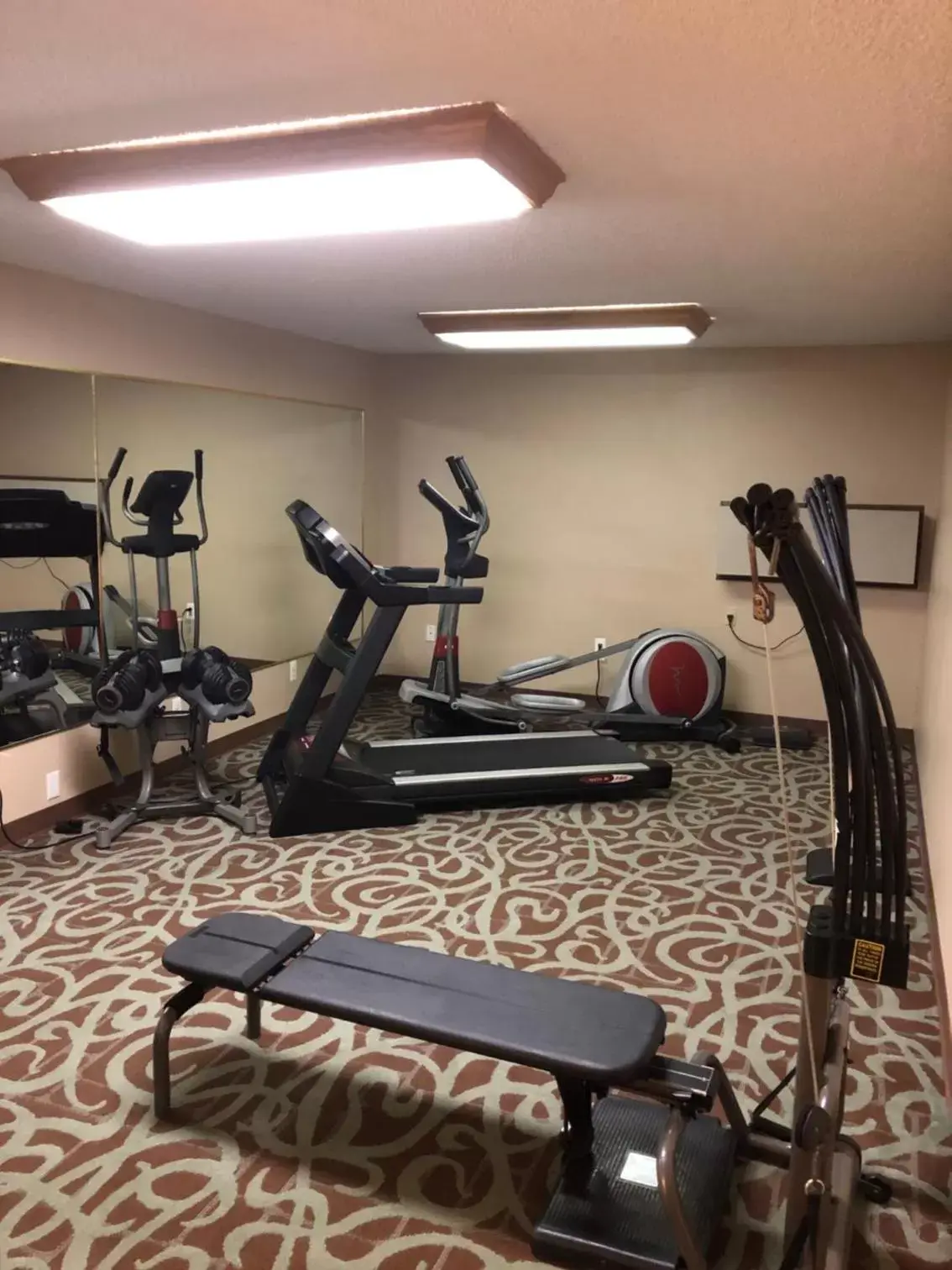 Fitness centre/facilities, Fitness Center/Facilities in Quality Inn SeaTac Airport-Seattle