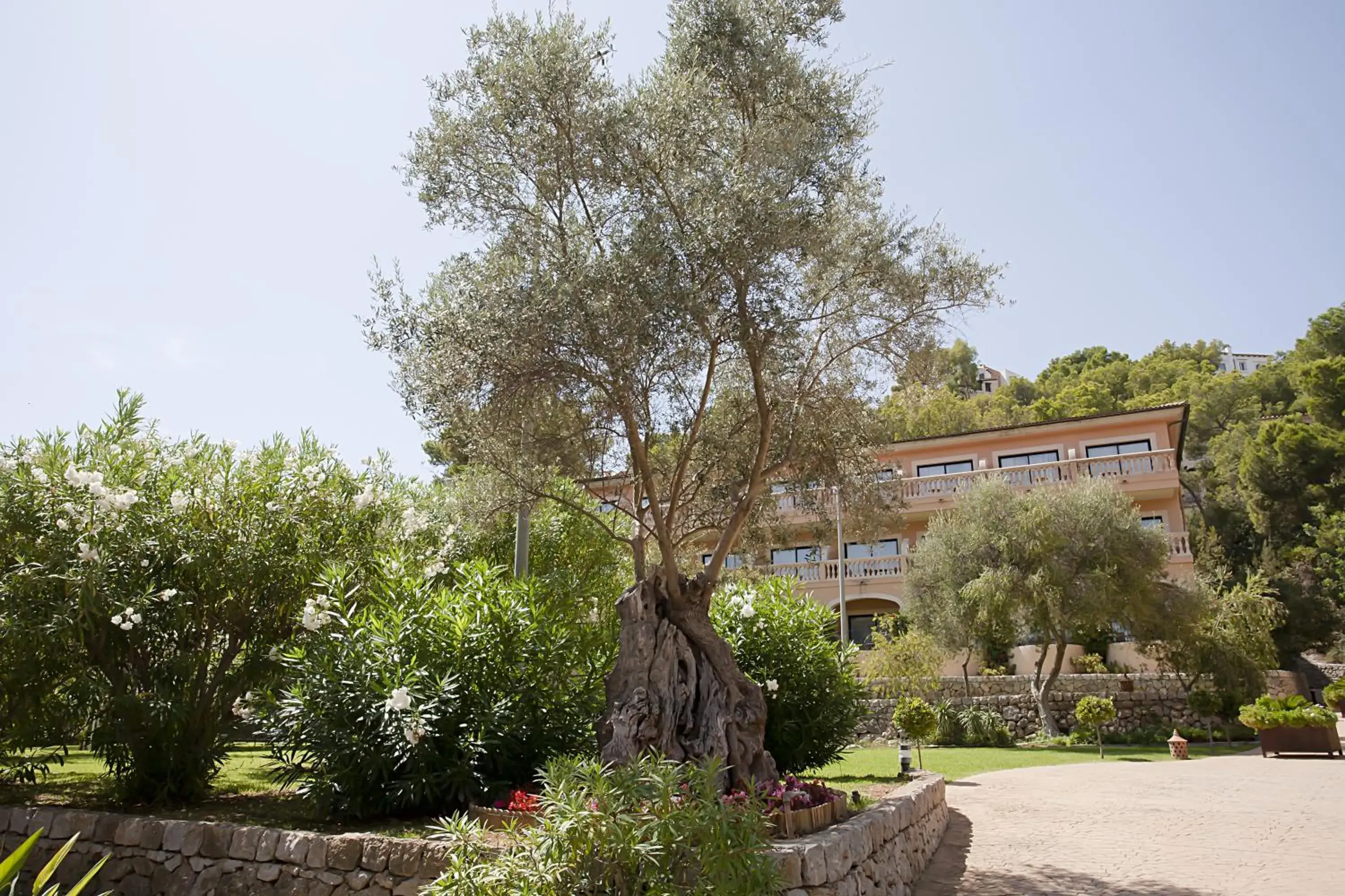 Garden, Property Building in Mon Port Hotel & Spa