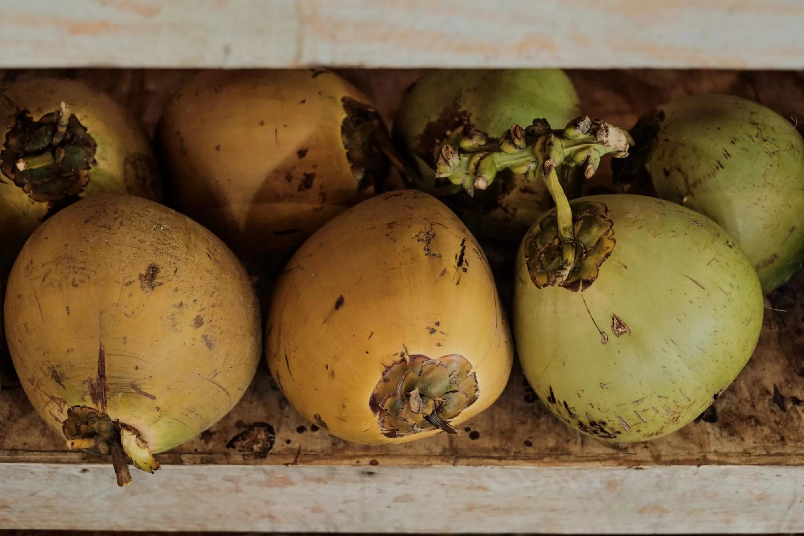 Drinks in Joglo Organik Guesthouse