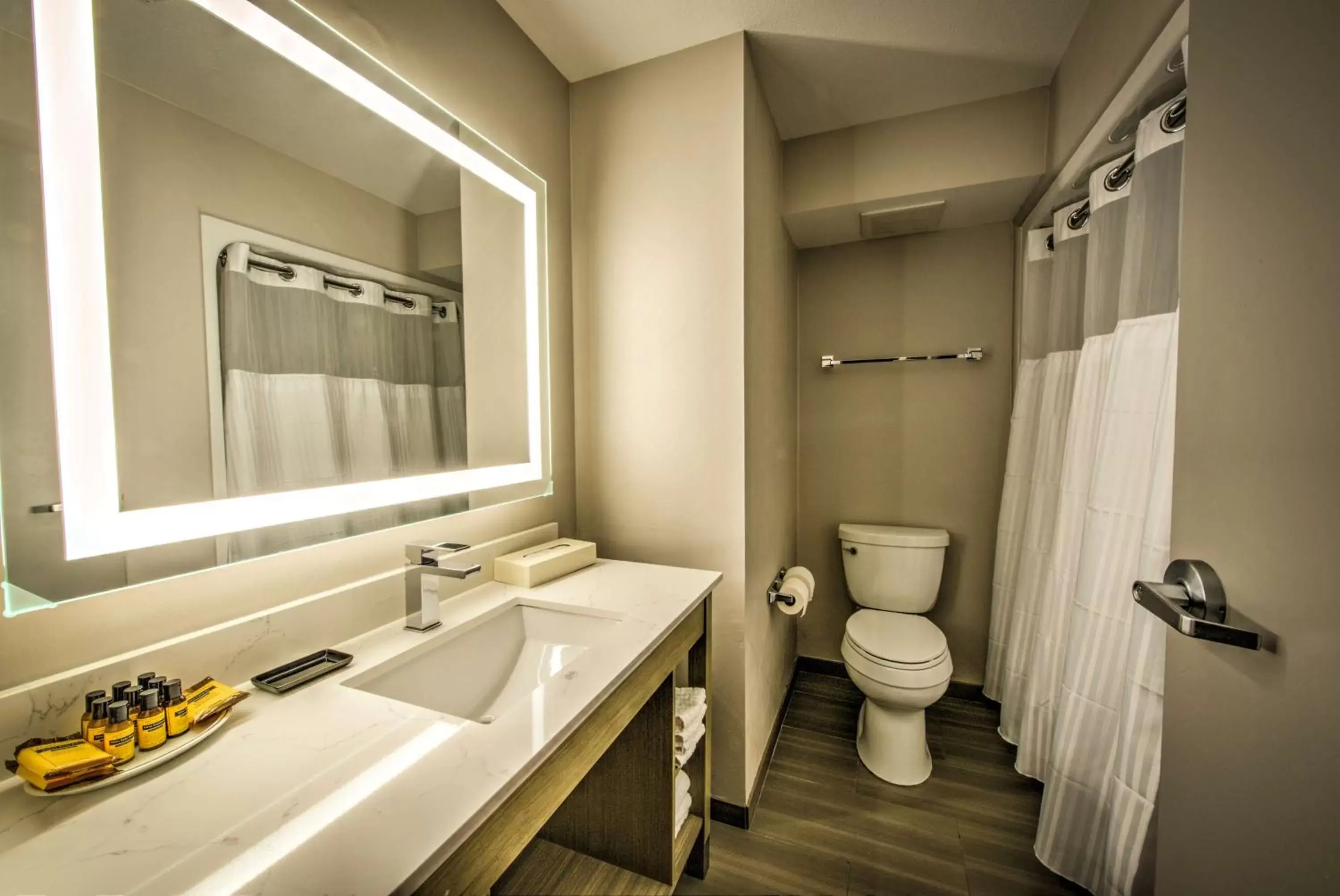 Bathroom in Best Western Plus Media Center Inn & Suites