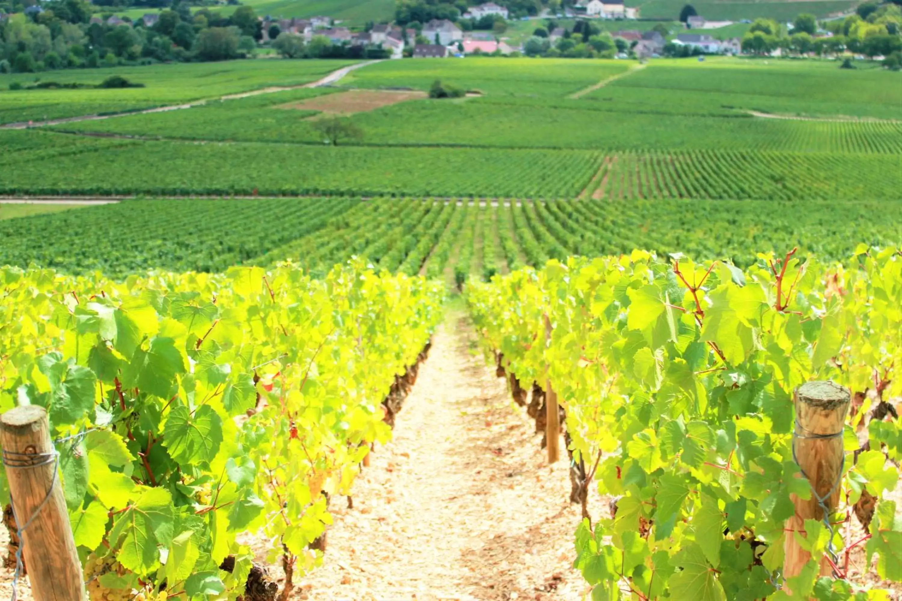 Nearby landmark in Domaine Pont Juillet