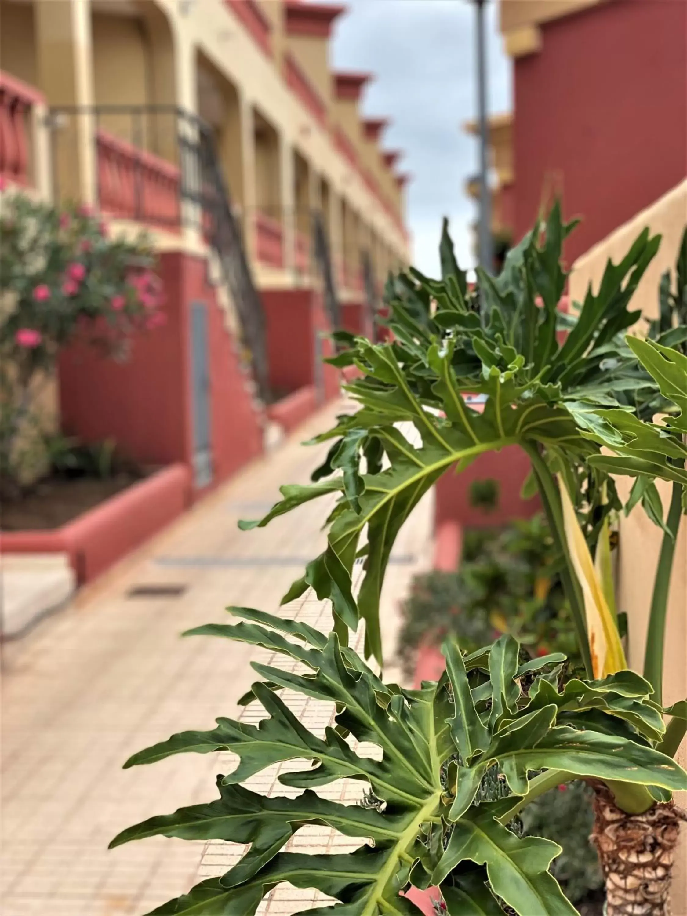 Facade/entrance in Laguna Park 2 Facade/entrance in Laguna Park 2