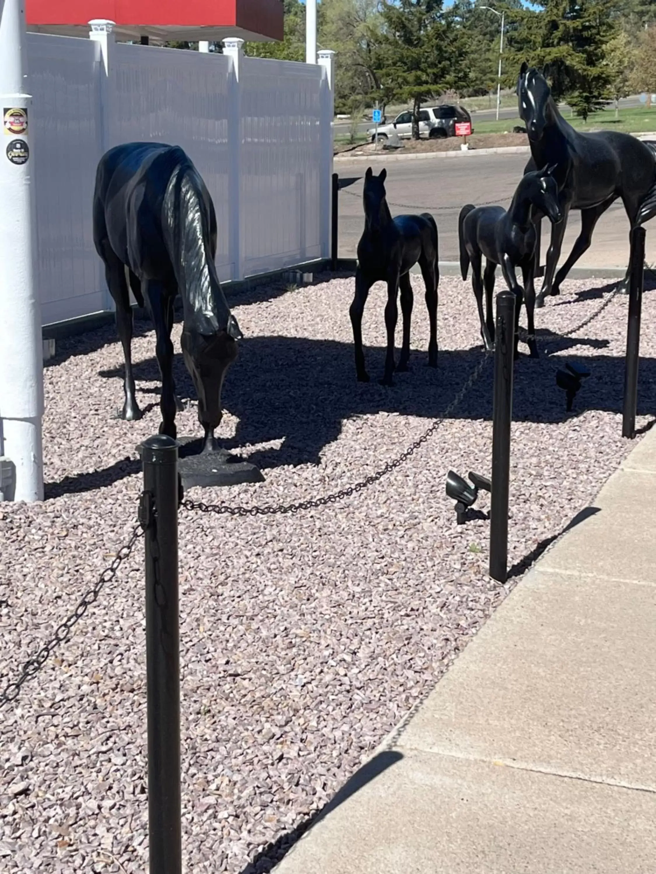 Day, Other Animals in El Rancho Motel