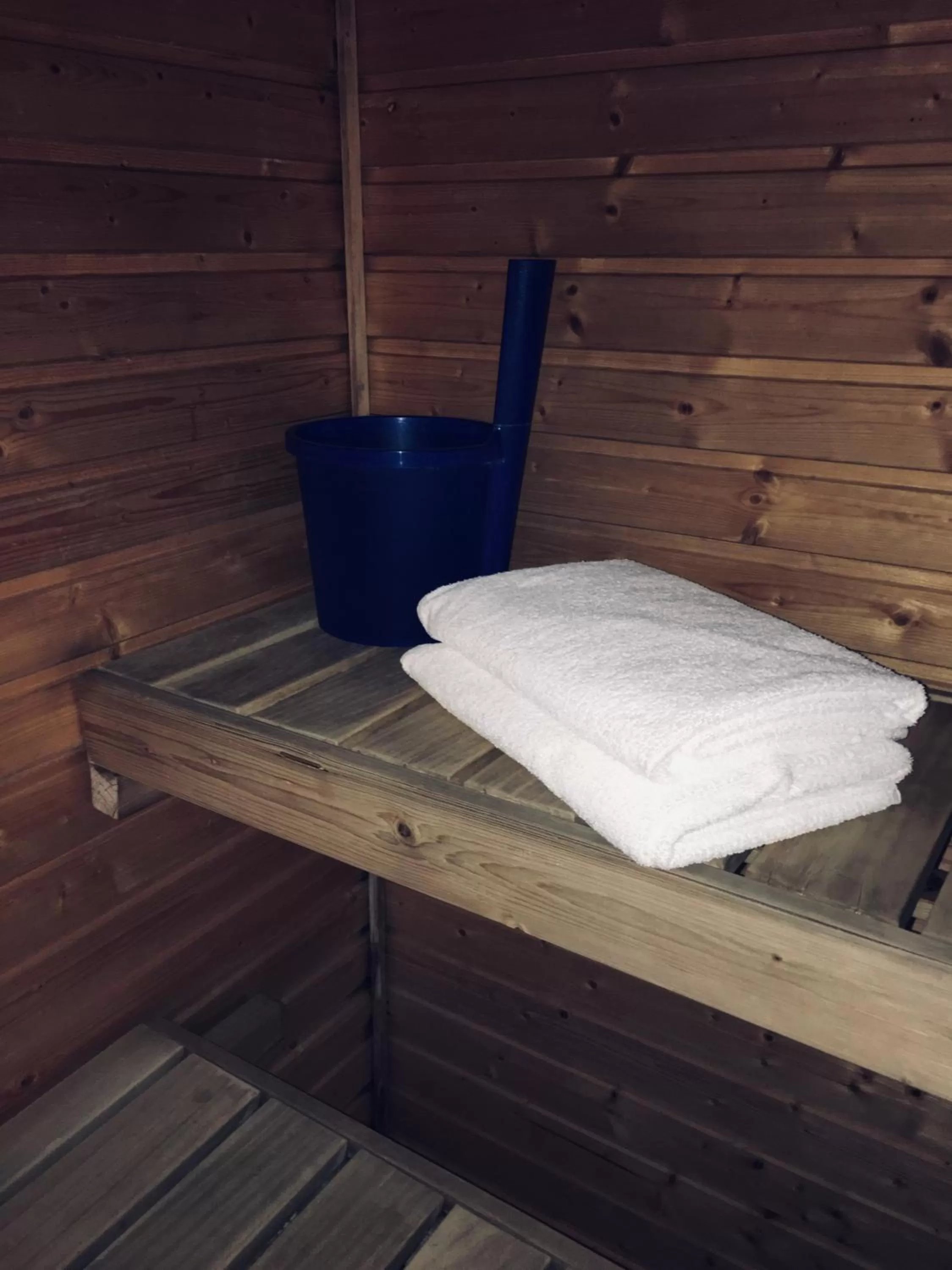 Sauna in Hotel Yöpuu