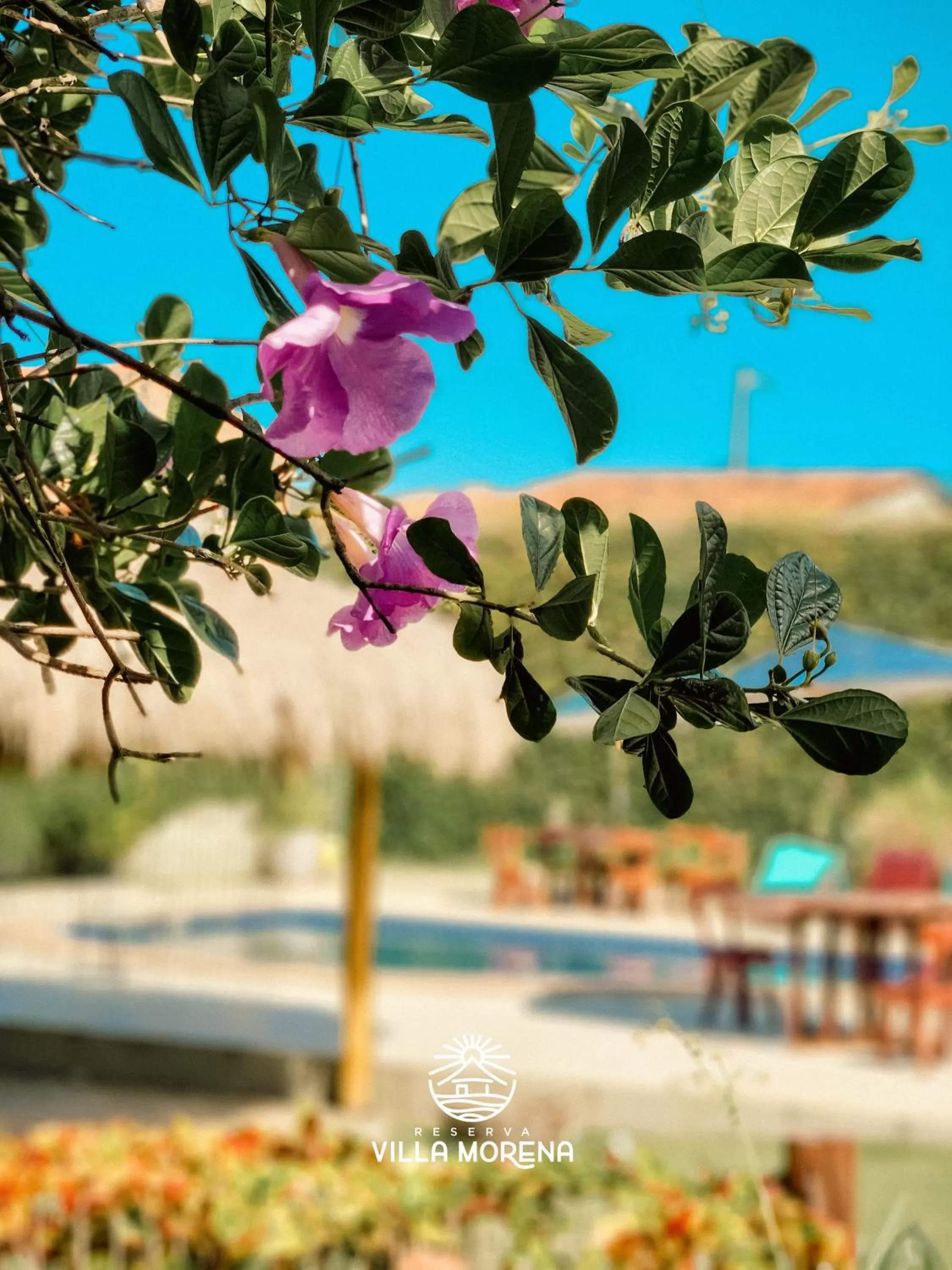 Spring, Swimming Pool in Pousada Villa Morena