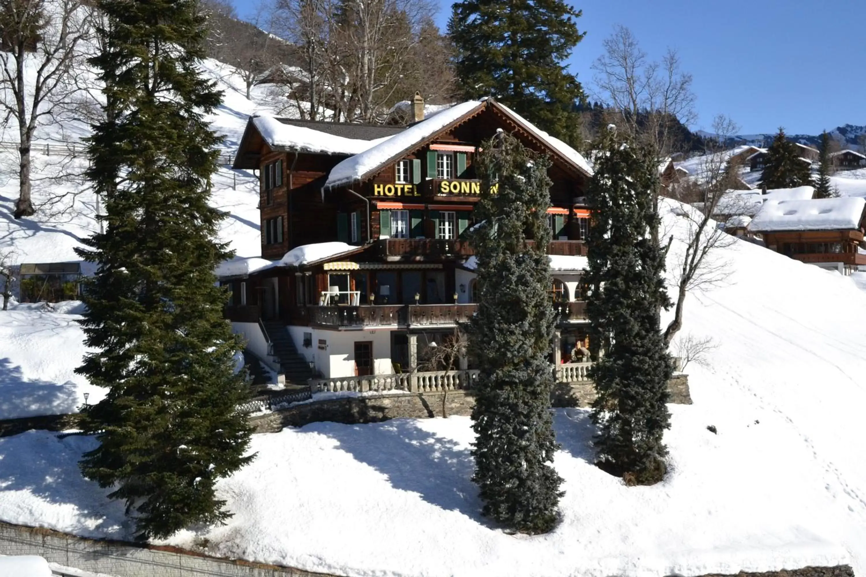 Facade/entrance, Winter in Hotel Sonnenberg