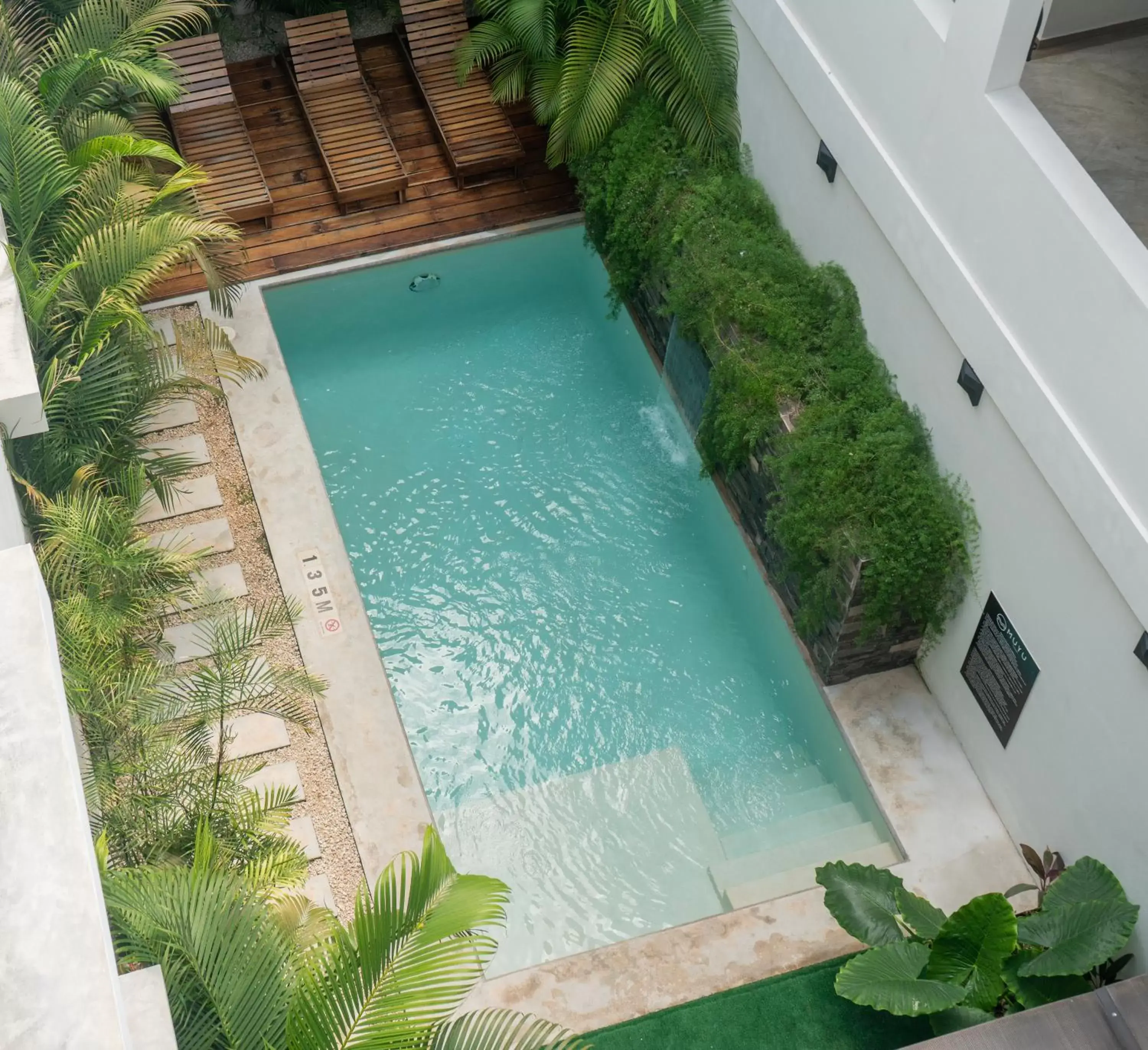 Swimming pool, Pool View in Hotel Muyu Tulum