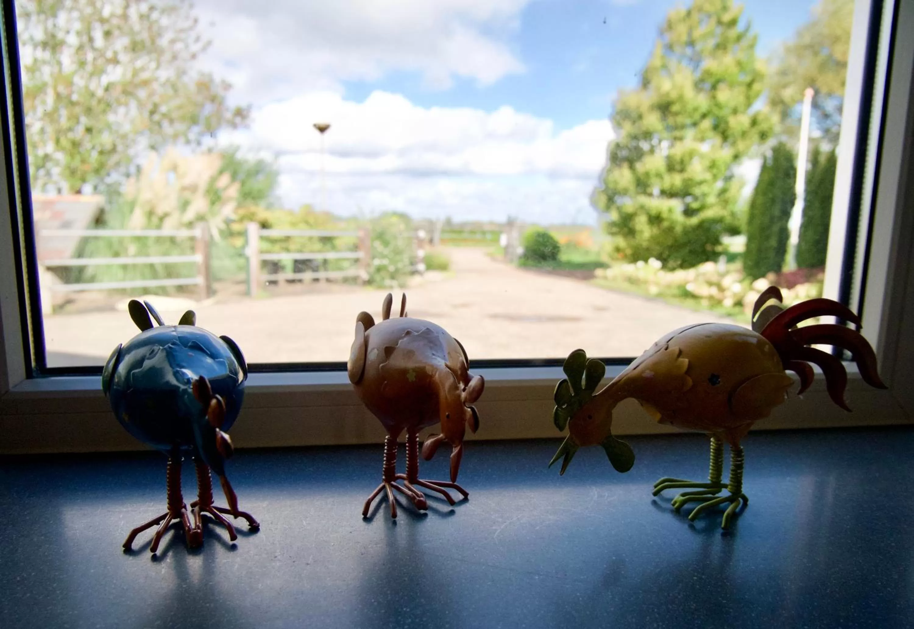 Street view in B&B “Te Warskip bij BlokVis”